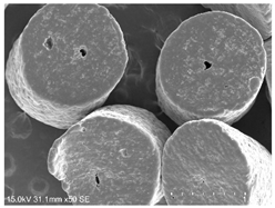 Powders 04 00021 i036