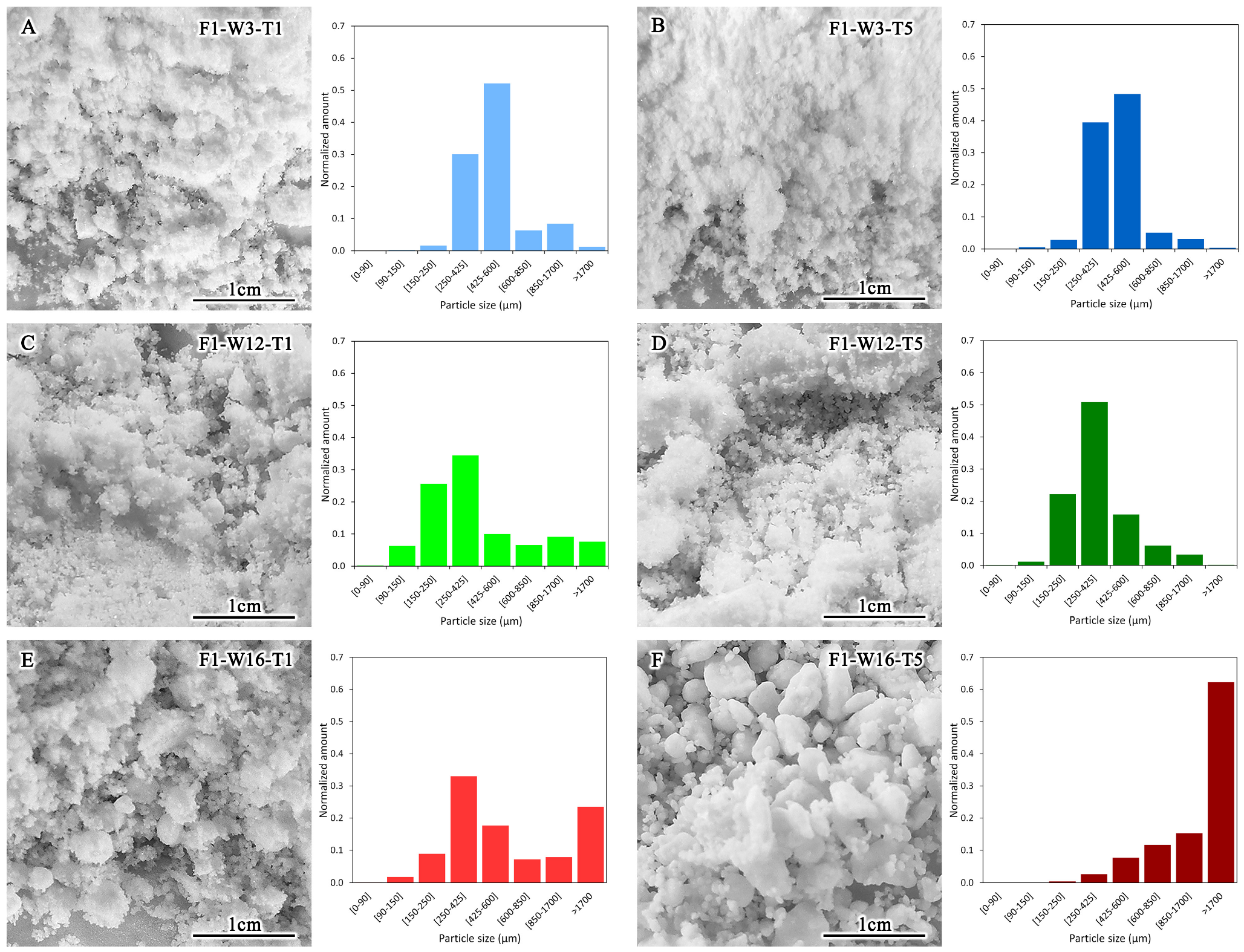 Powders 05 00012 g003
