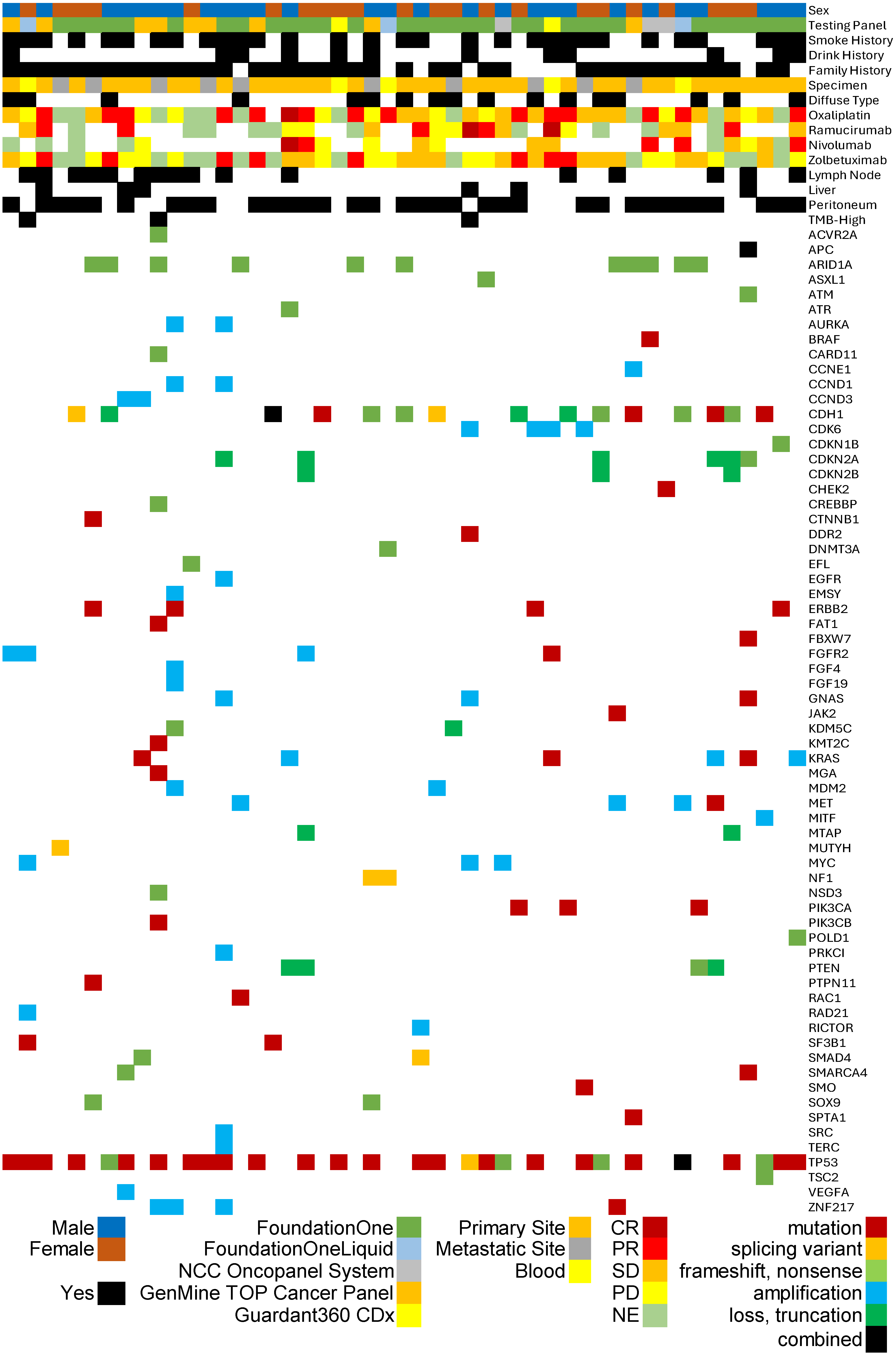 Genetic Predictors of Response to Zolbetuximab in Gastric