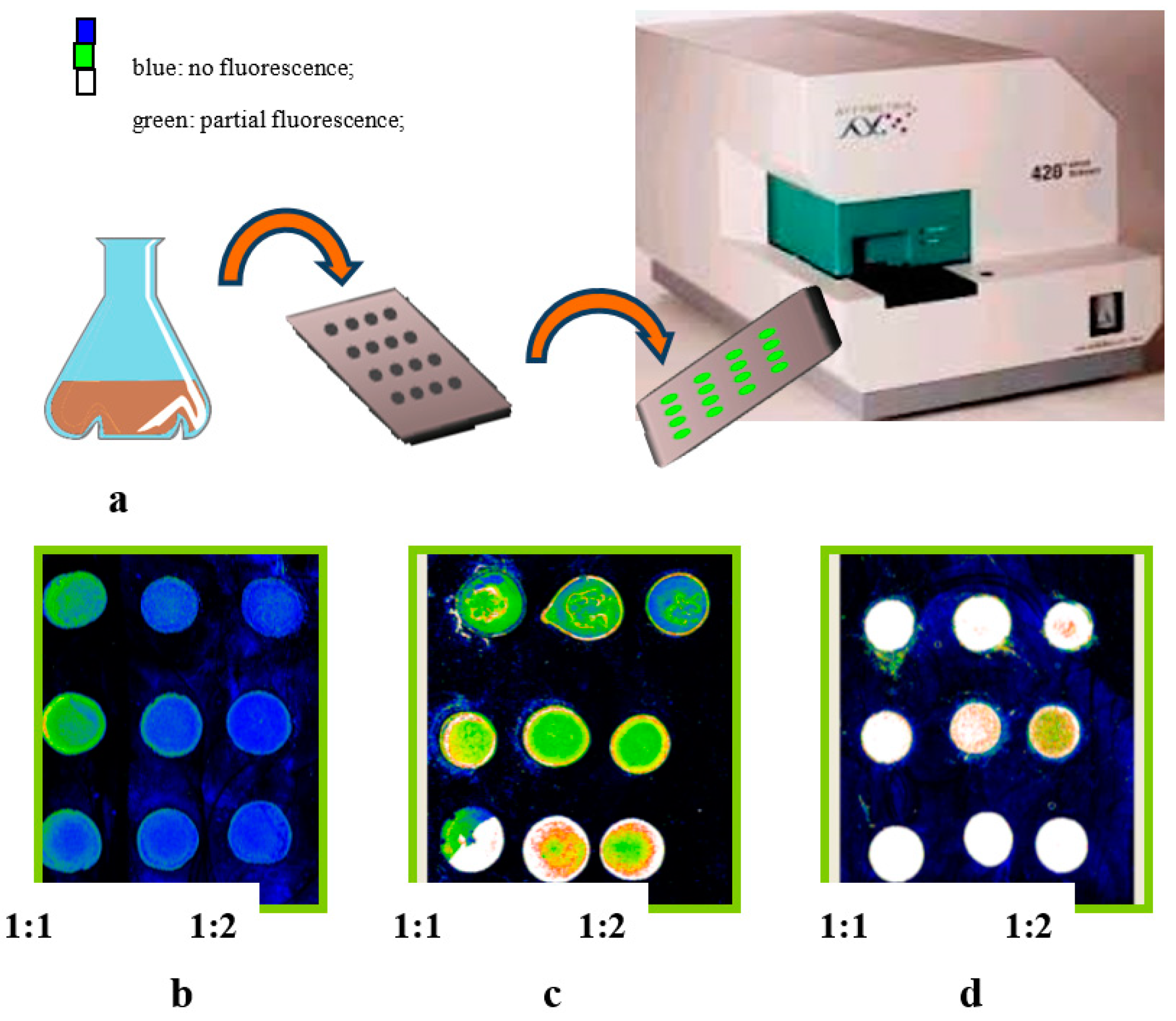 Proceedings 01 00004 g002