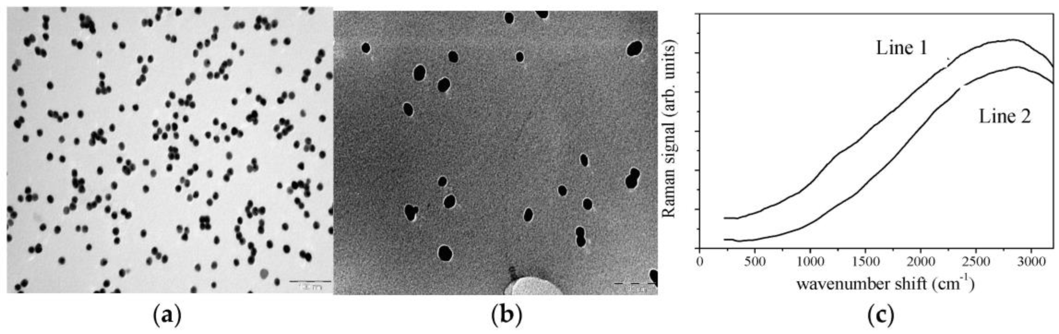 Proceedings 01 00025 g002