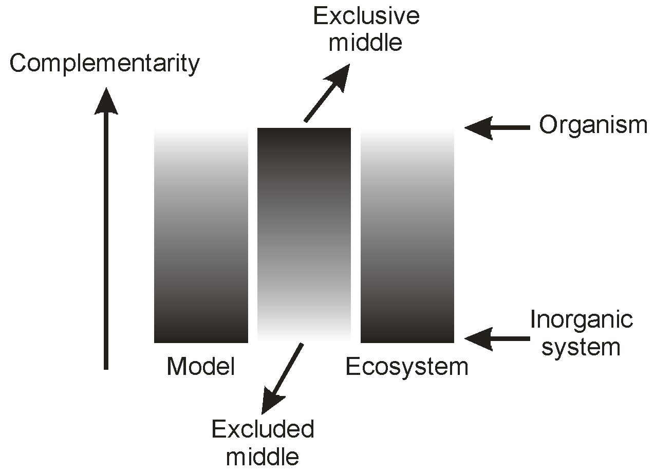 Proceedings 01 00063 g009 550