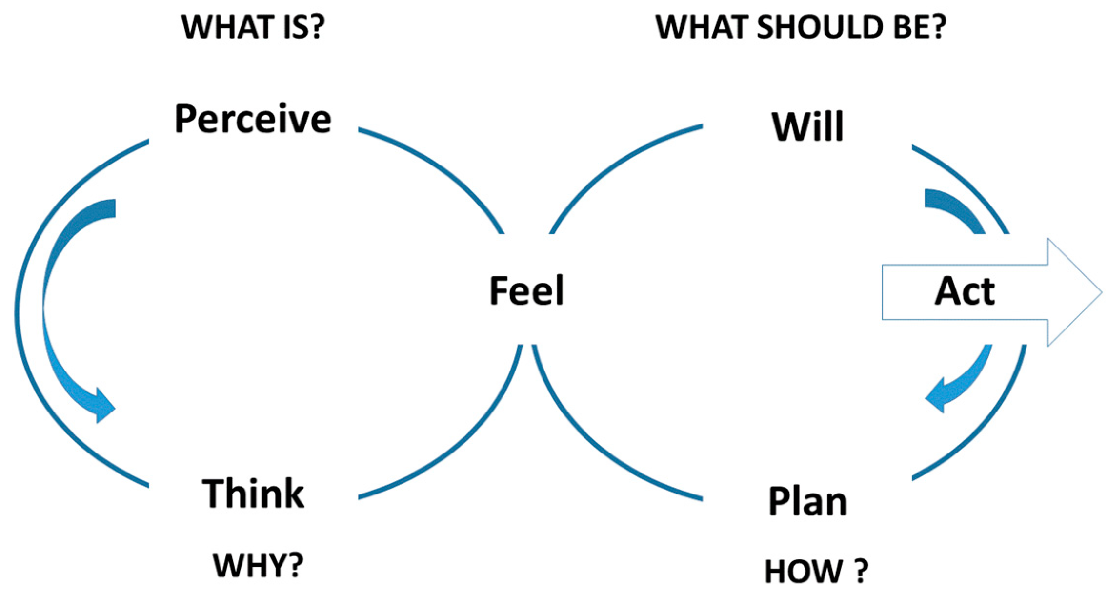 Proceedings 01 00236 g001 550