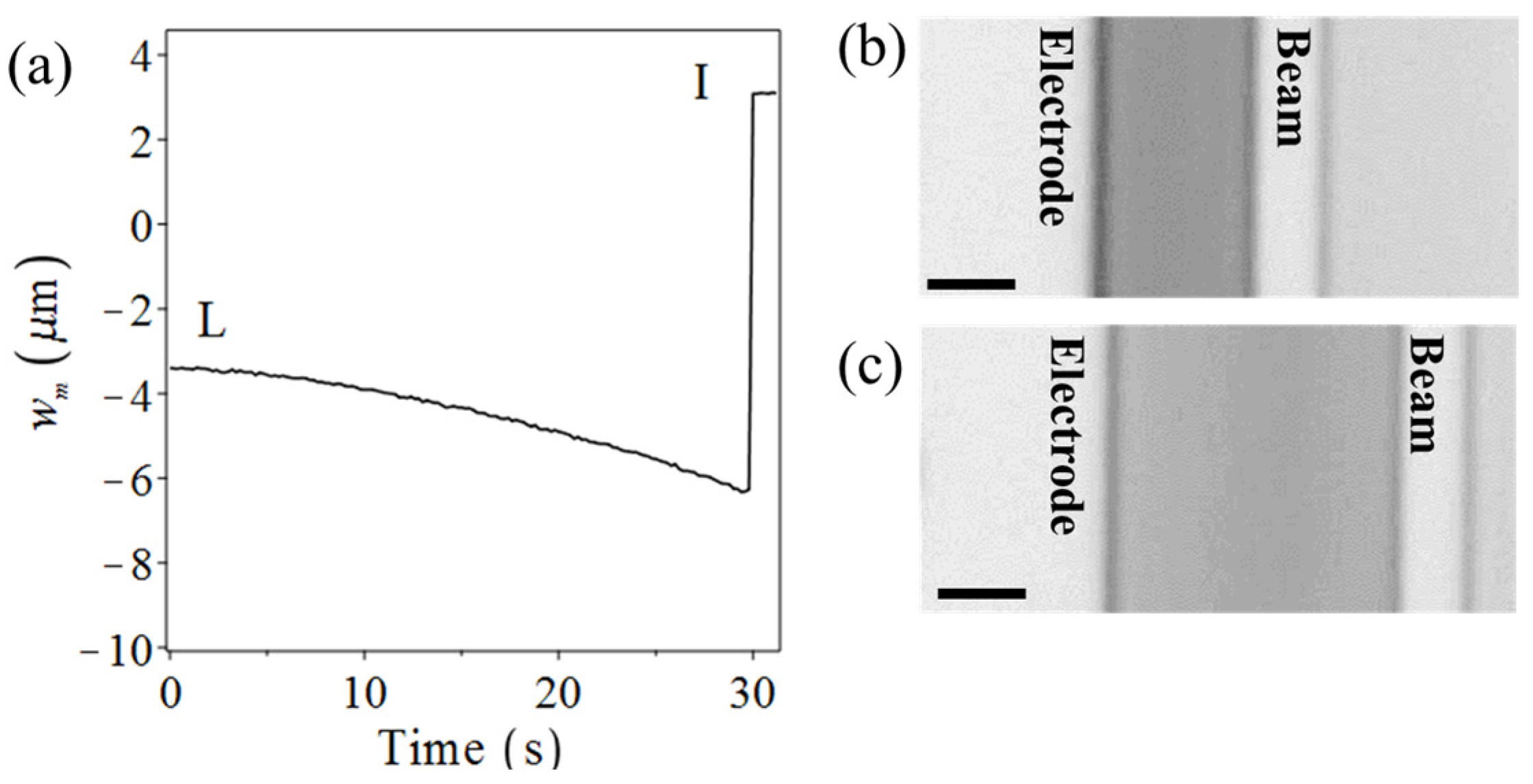 Proceedings 01 00277 g004