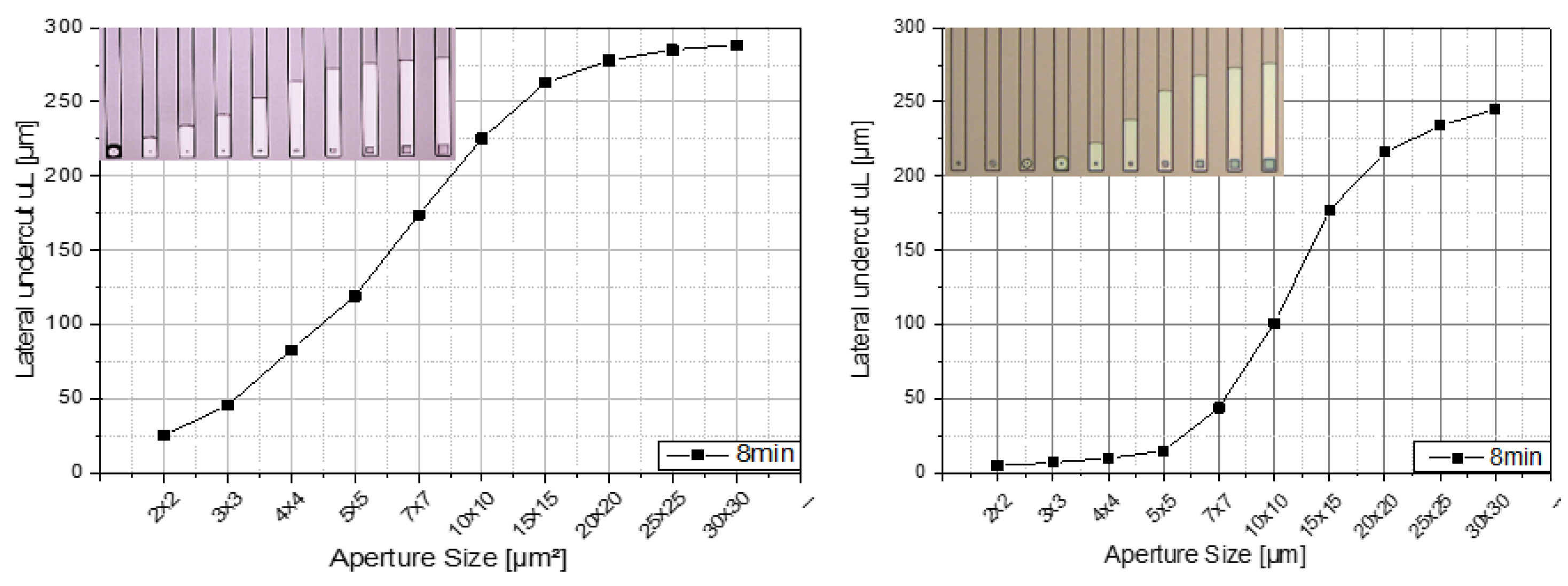 Proceedings 01 00295 g003