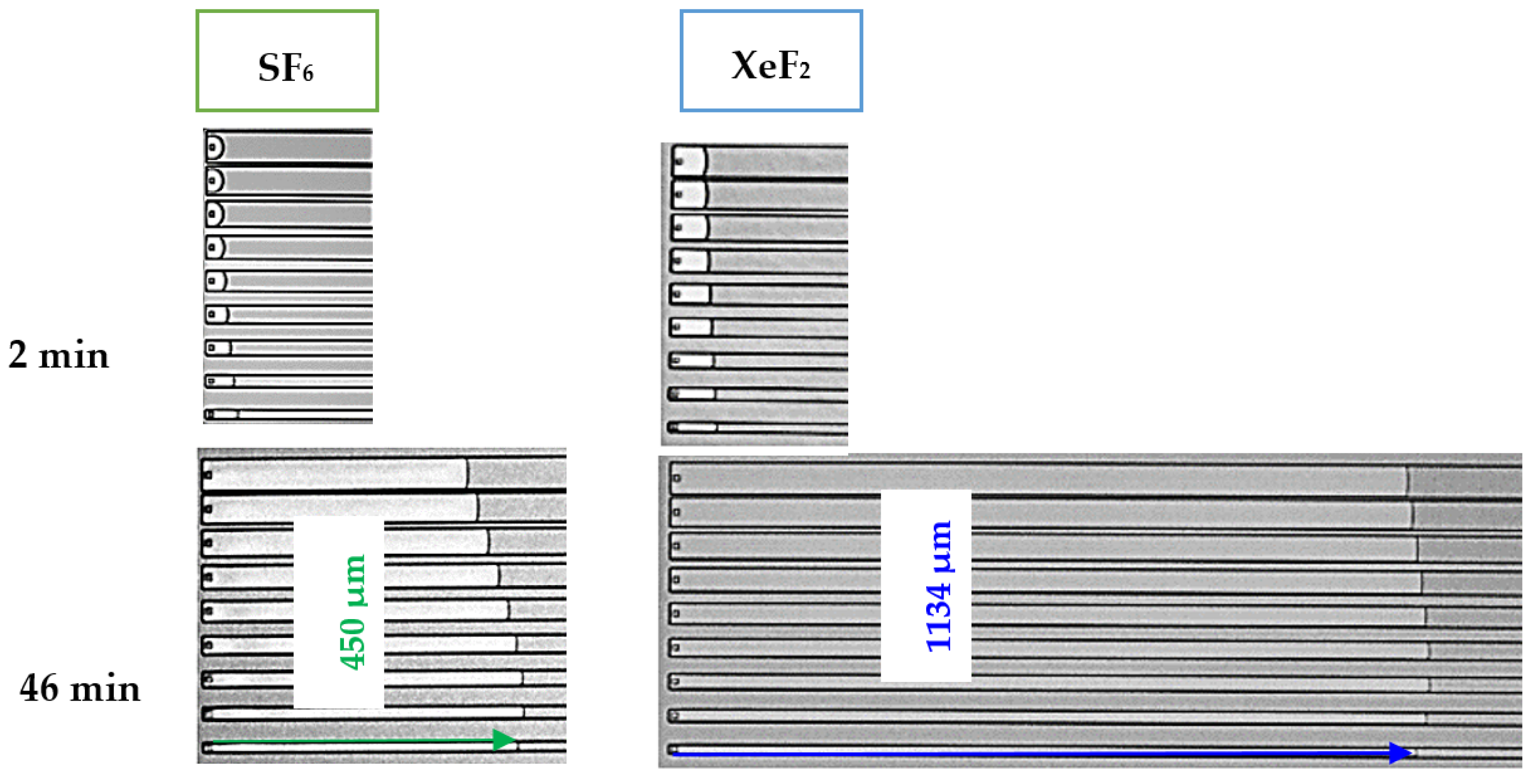 Proceedings 01 00295 g004