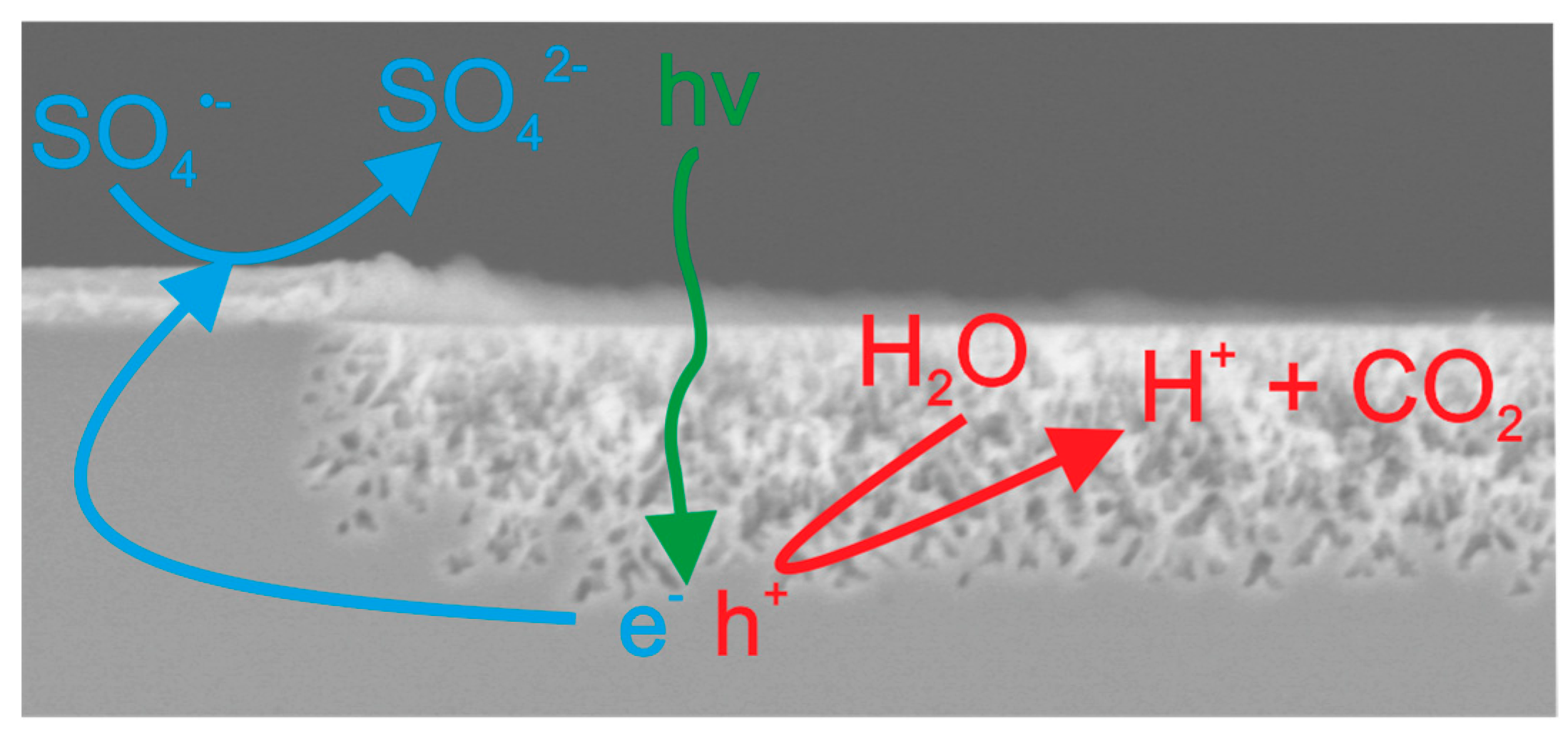 Proceedings 01 00297 g001