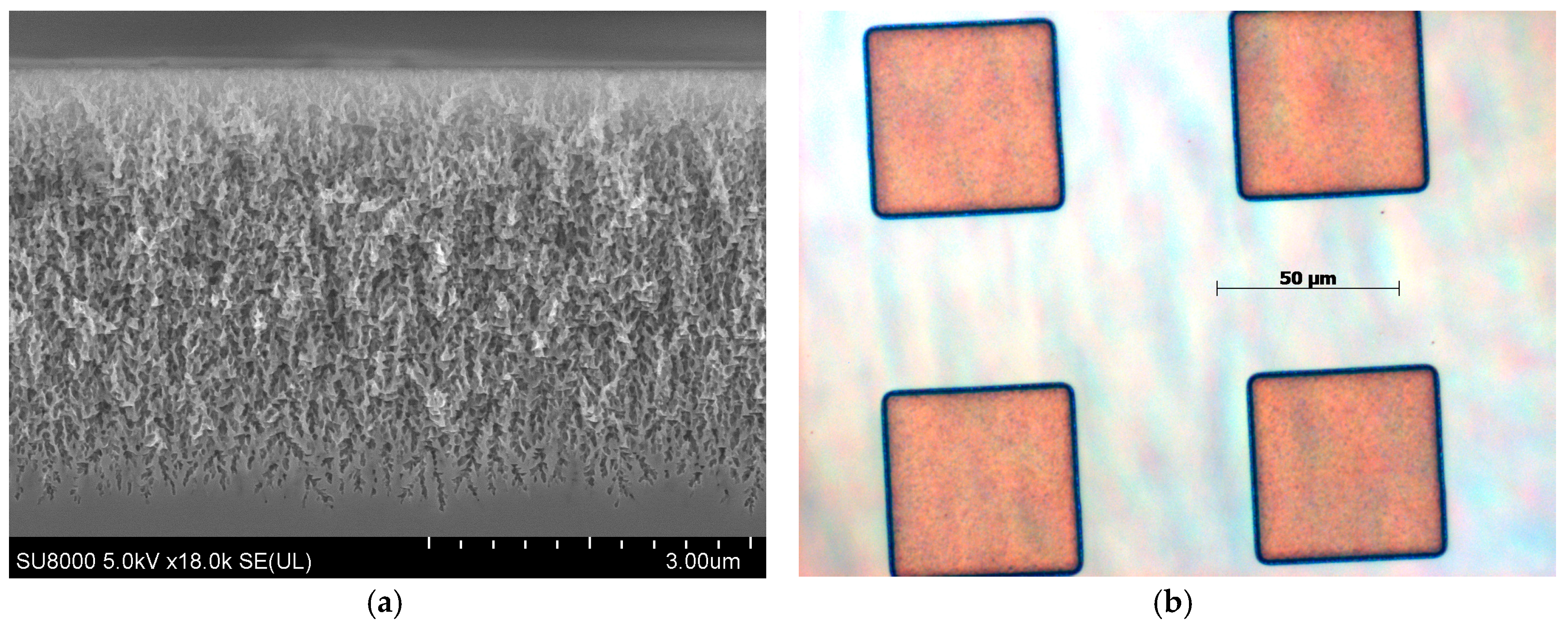 Proceedings 01 00297 g002