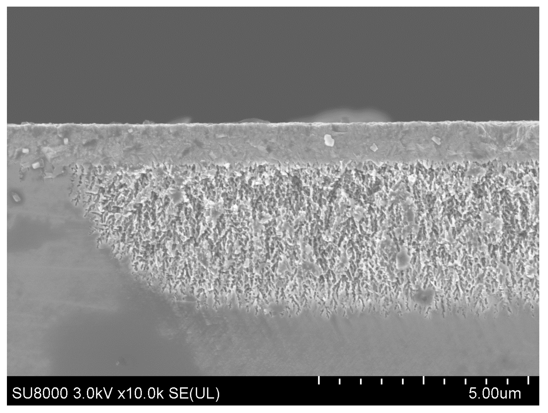 Proceedings 01 00297 g003