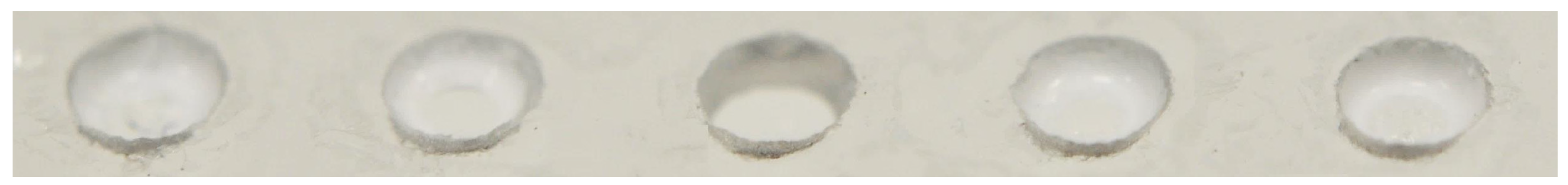 Proceedings 01 00298 g003