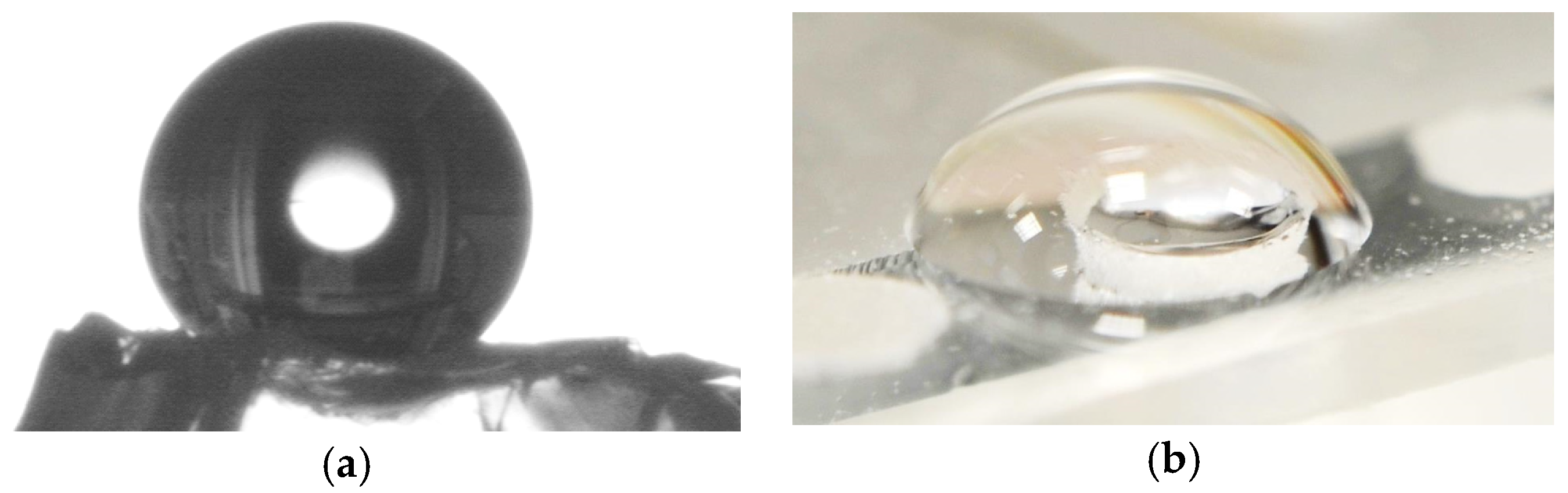 Proceedings 01 00298 g005