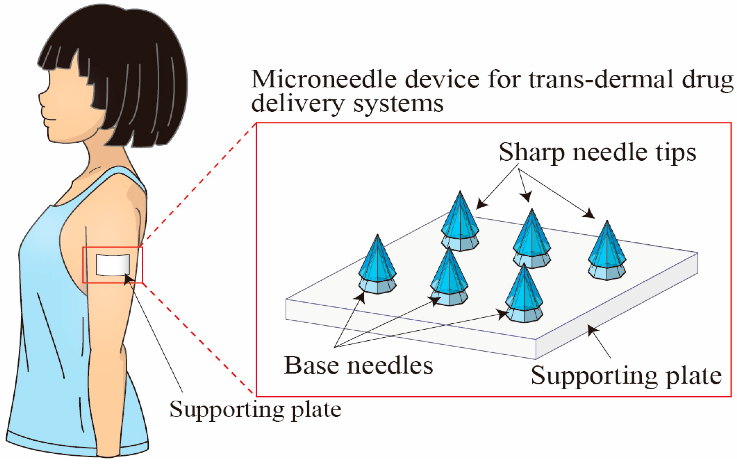 Proceedings 01 00304 g001