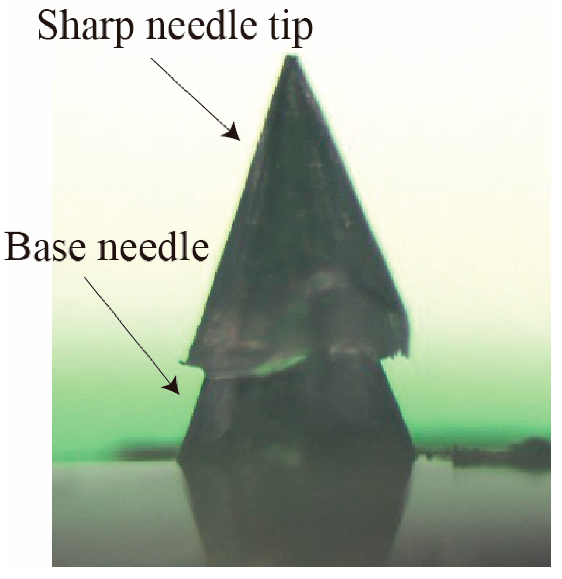 Proceedings 01 00304 g004
