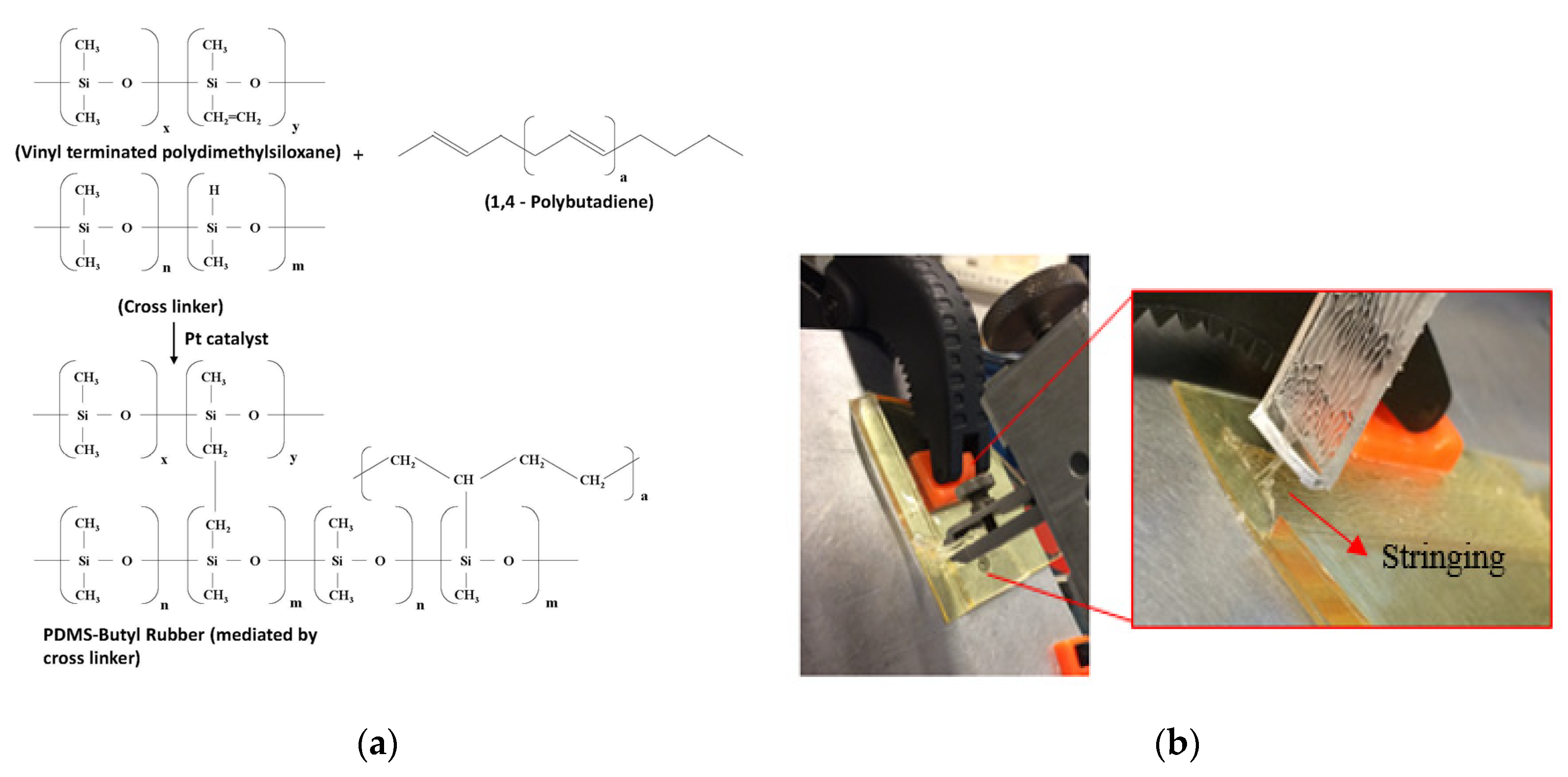 Proceedings 01 00307 g002 550