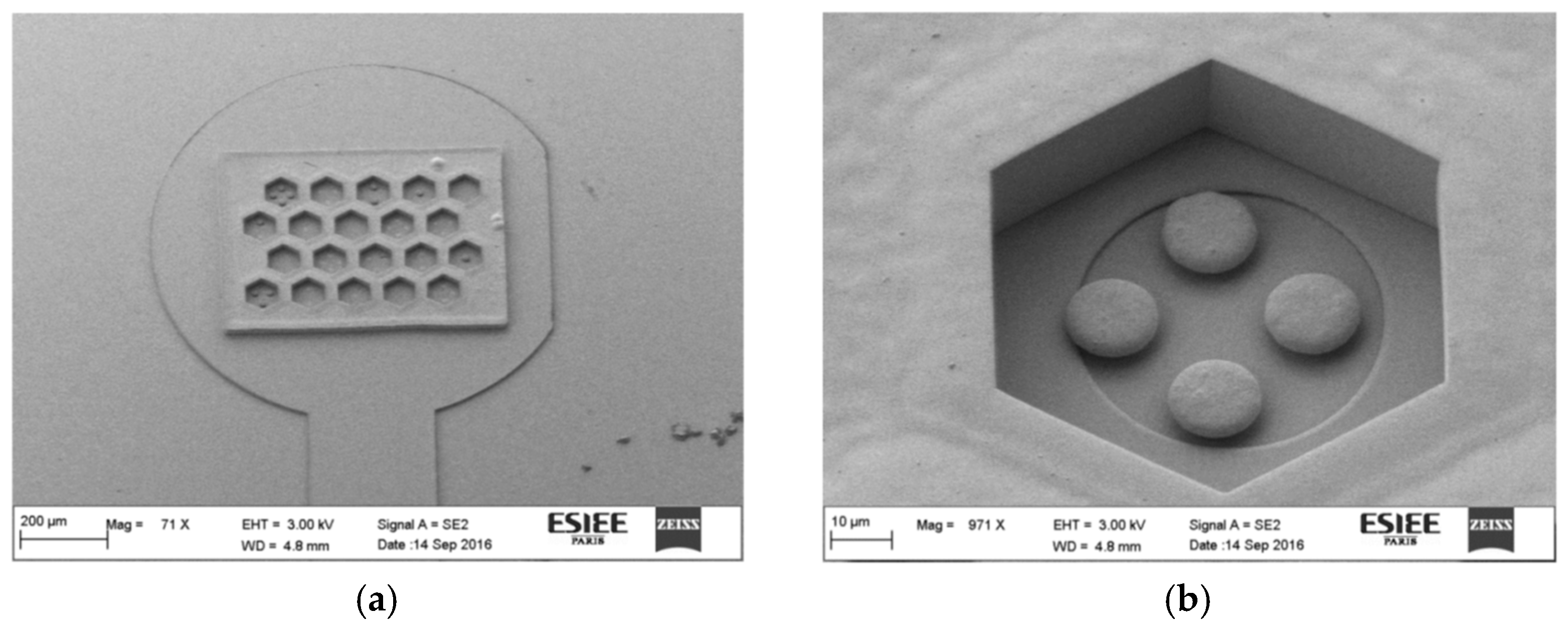 Proceedings 01 00315 g002 Proceedings 01 00315 g002
