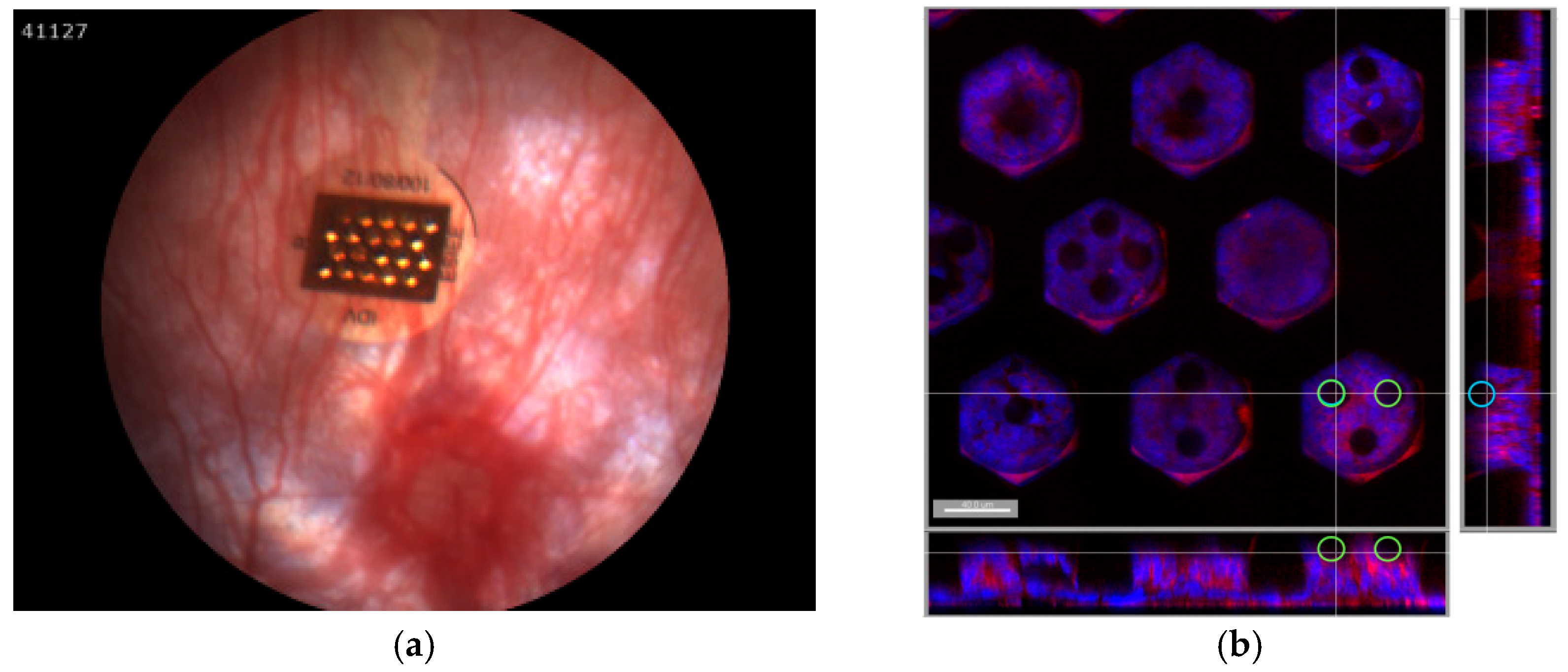 Proceedings 01 00315 g003 Proceedings 01 00315 g003