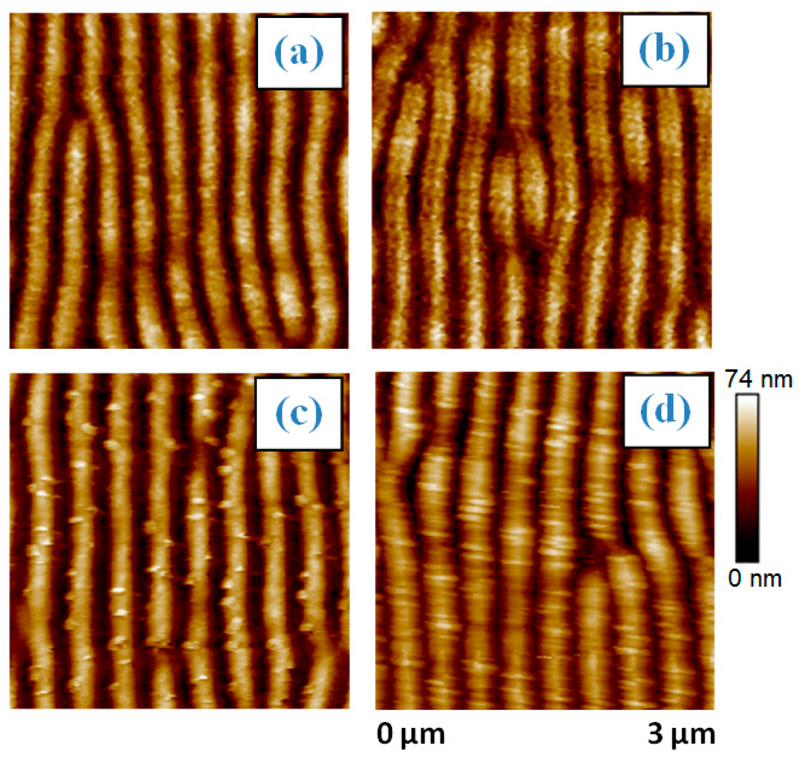 Proceedings 01 00317 g001 550