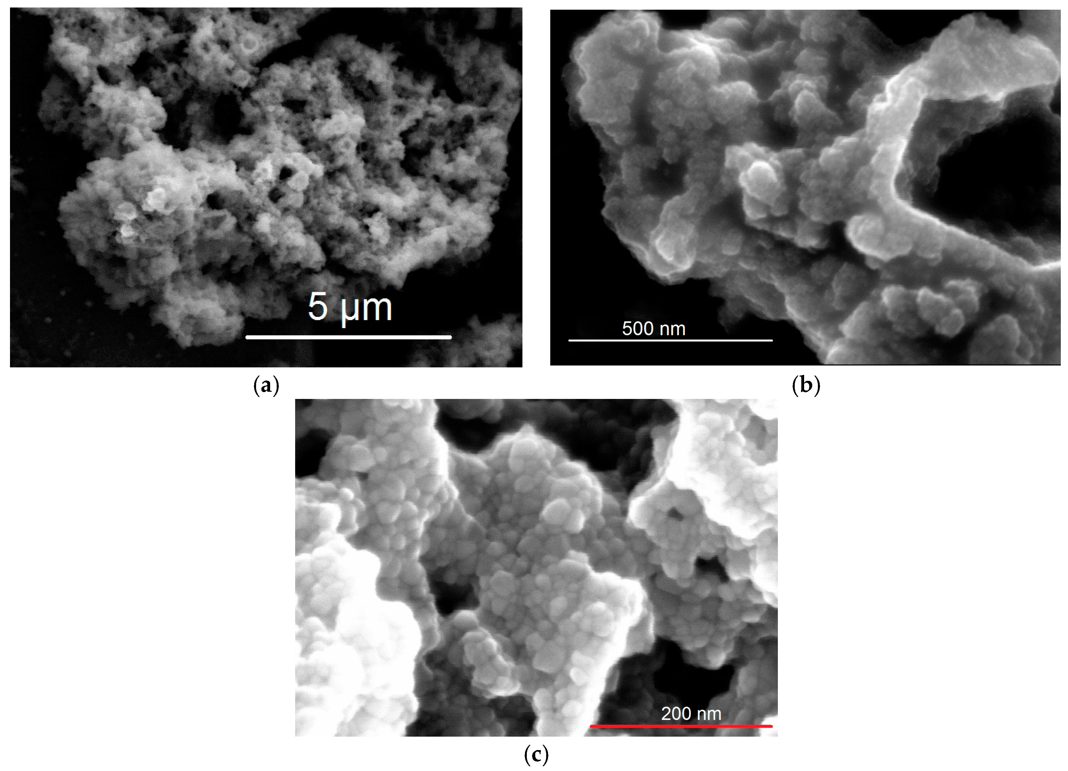 Proceedings 01 00318 g003