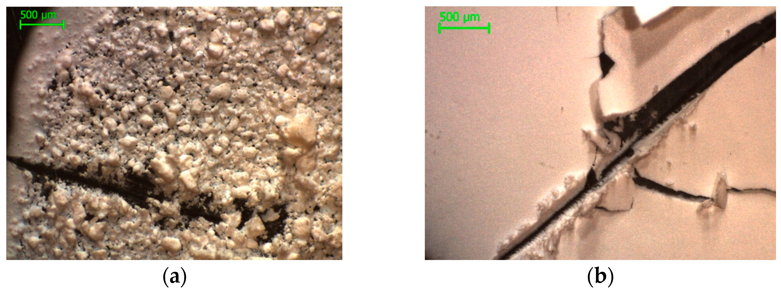 Proceedings 01 00322 g001