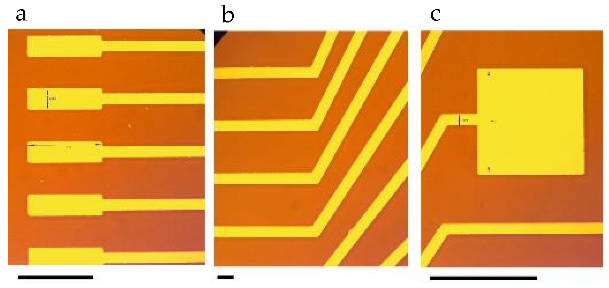 Proceedings 01 00336 g003