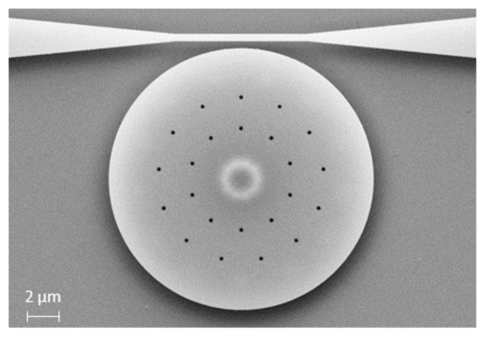 Proceedings 01 00347 g001