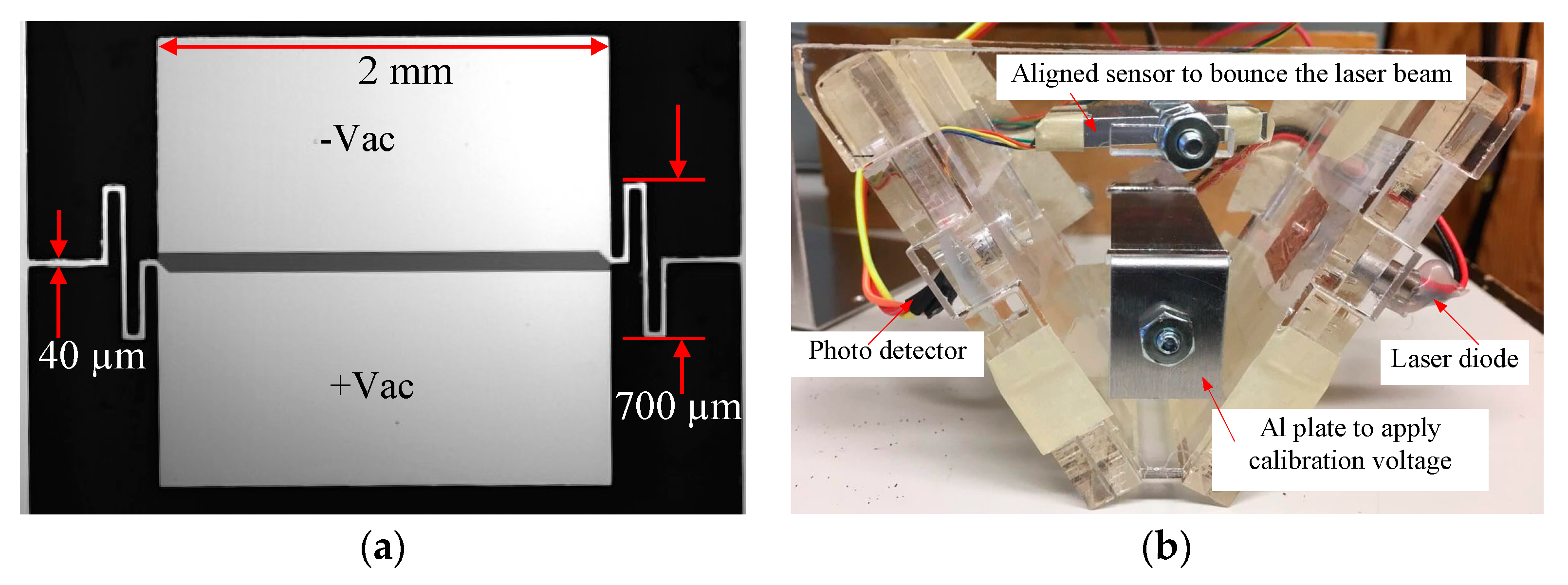 Proceedings 01 00350 g001