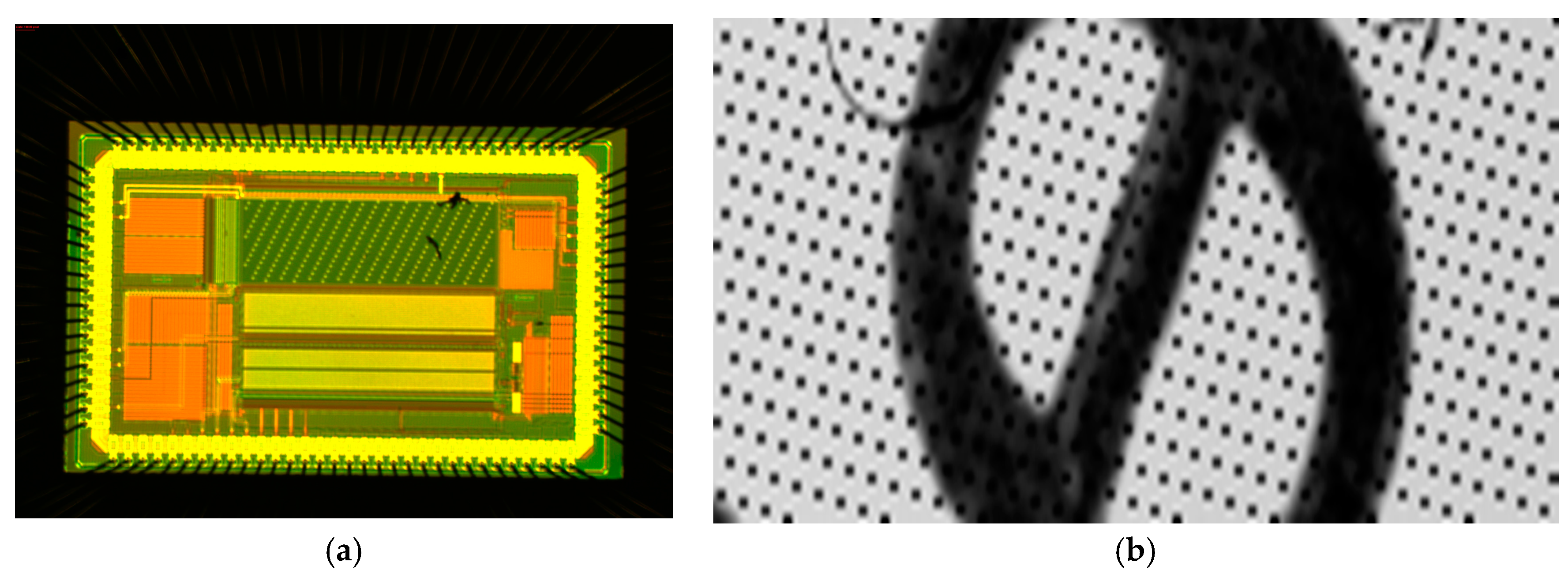 Proceedings 01 00358 g003
