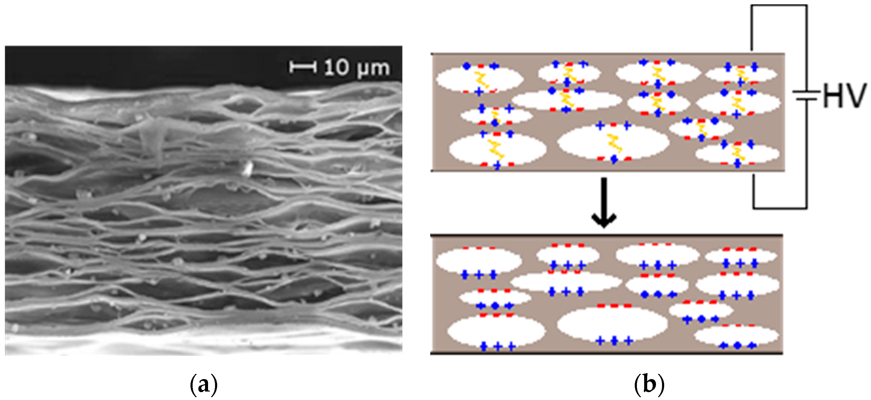 Proceedings 01 00362 g001 550