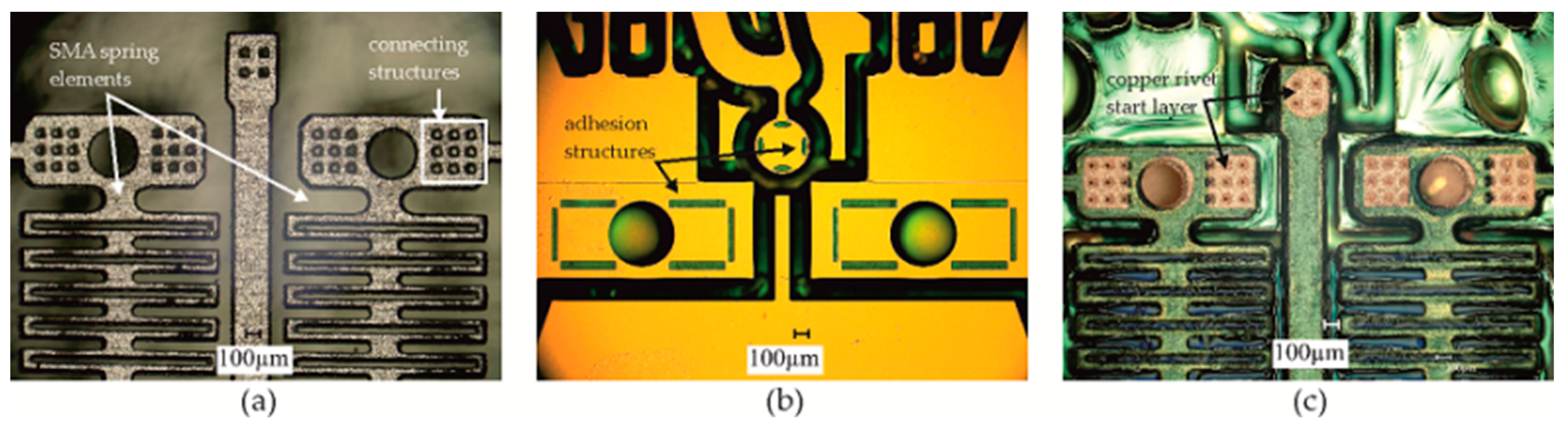 Proceedings 01 00385 g004
