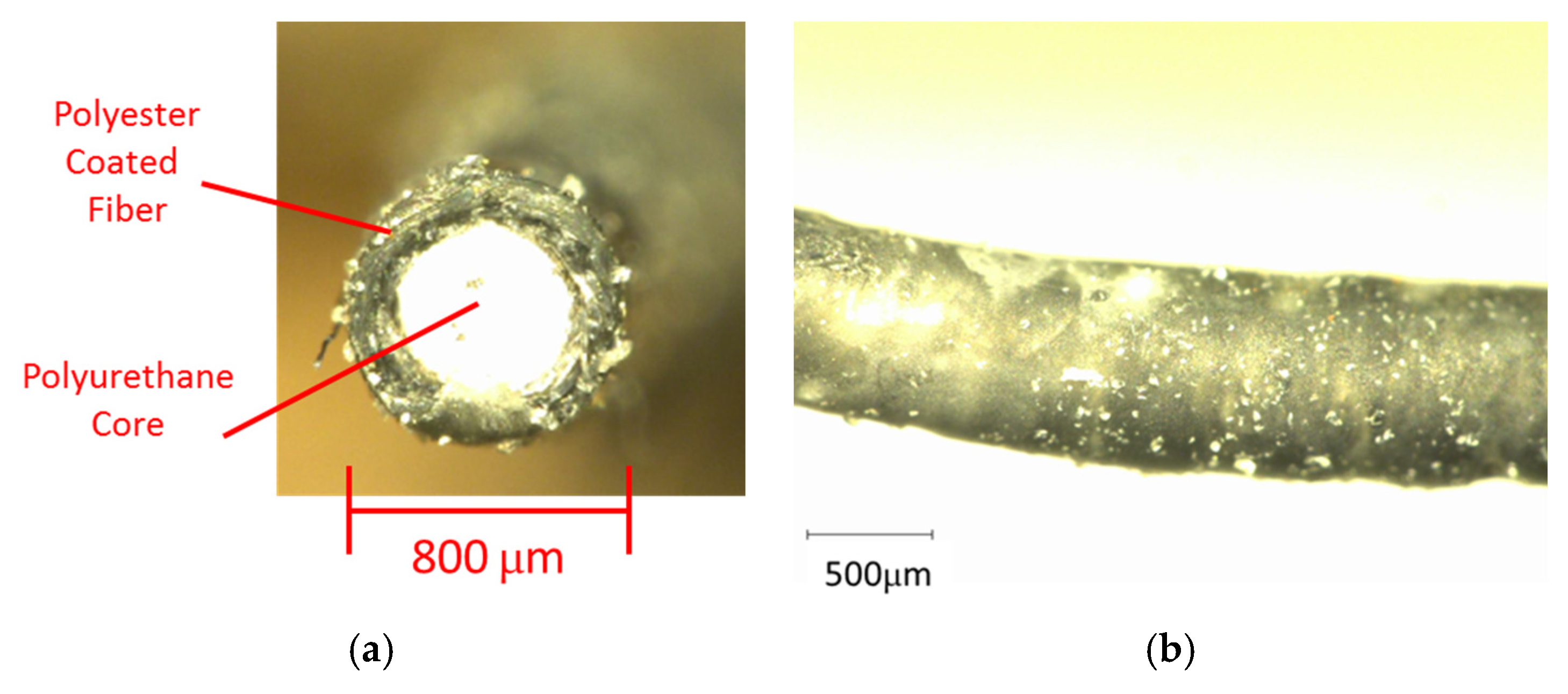 Proceedings 01 00389 g002