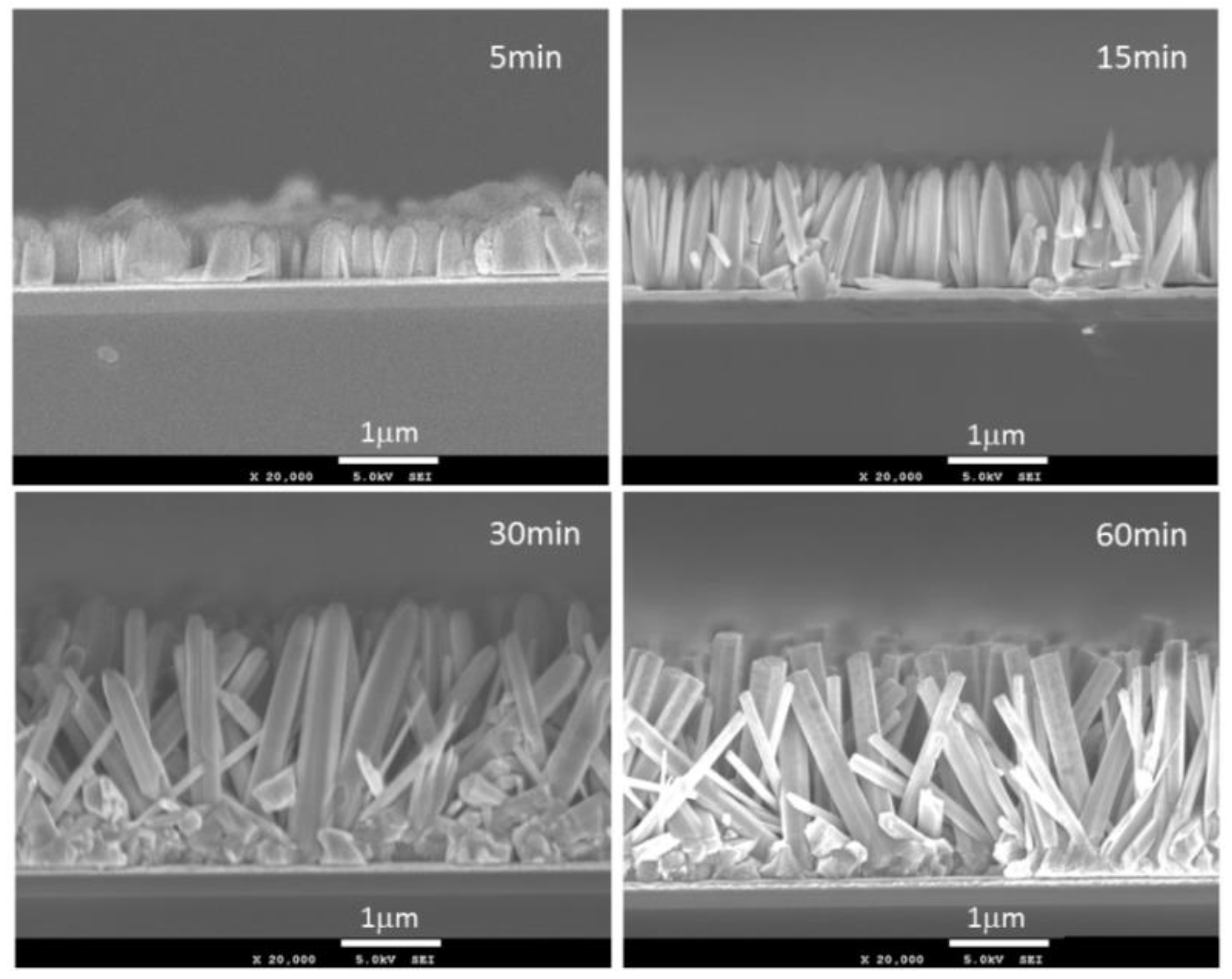 Proceedings 01 00397 g001 550