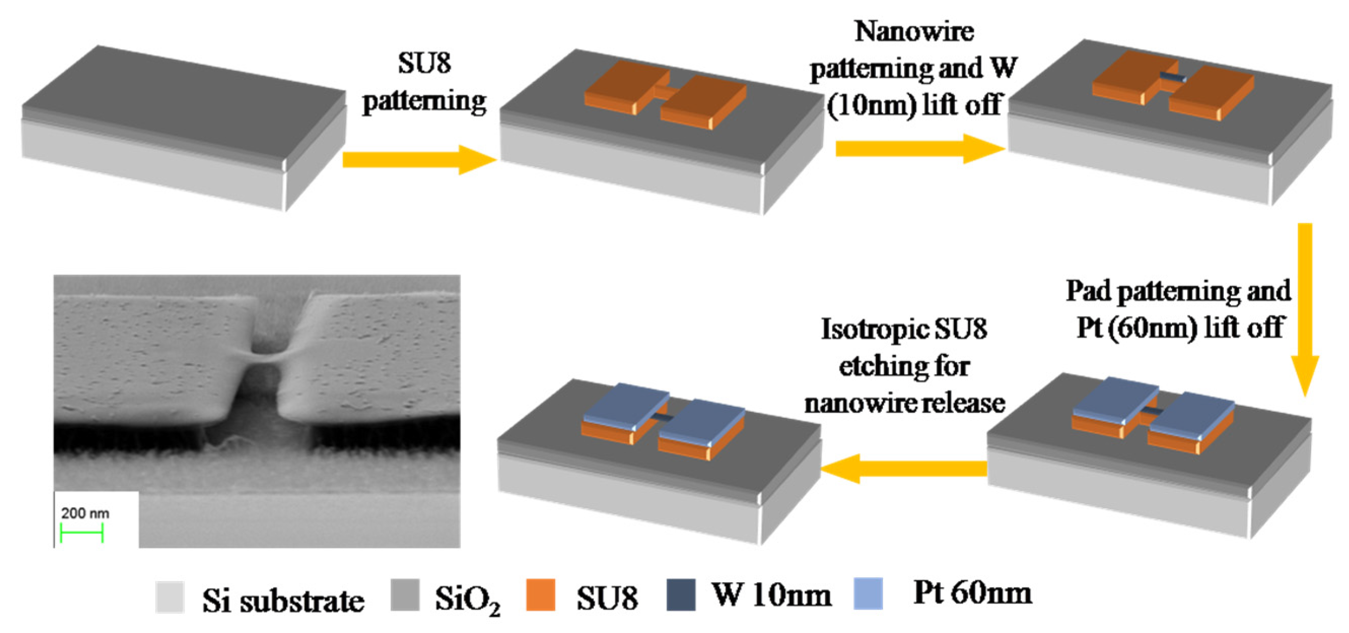 Proceedings 01 00402 g001