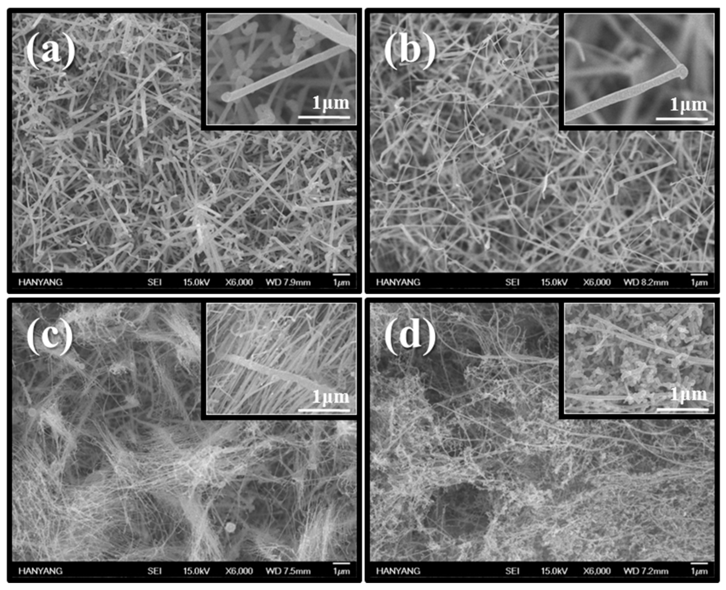 Proceedings 01 00404 g001 550