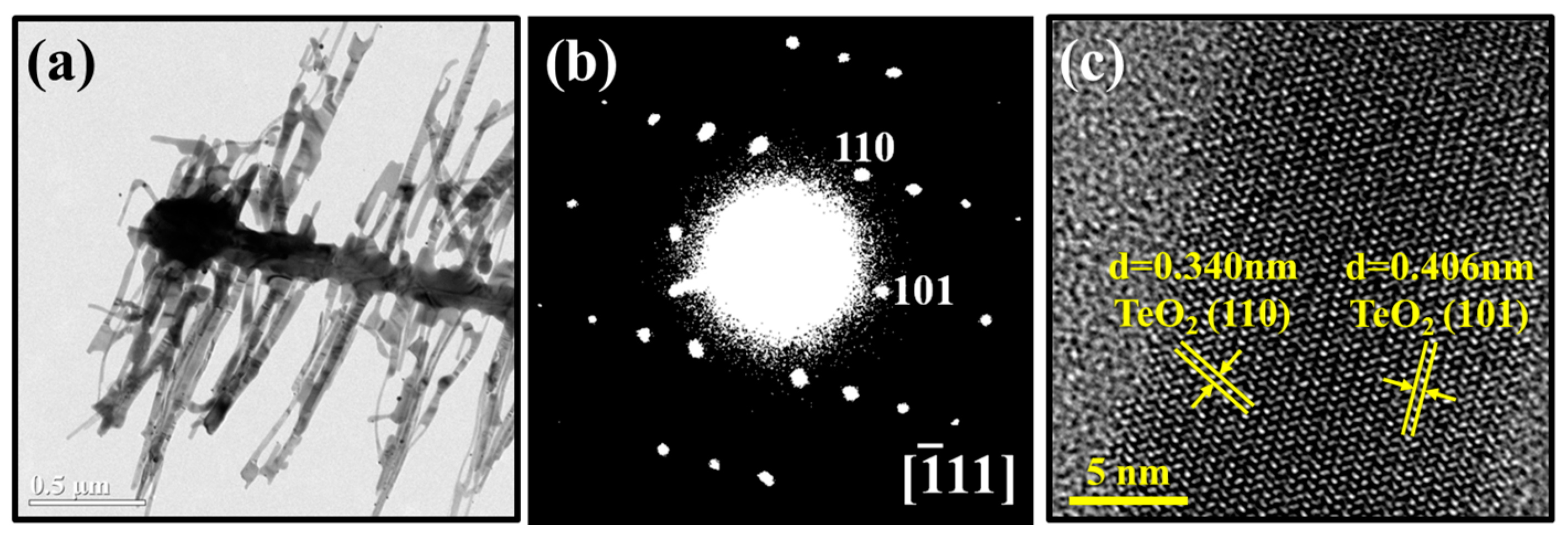 Proceedings 01 00404 g003 550