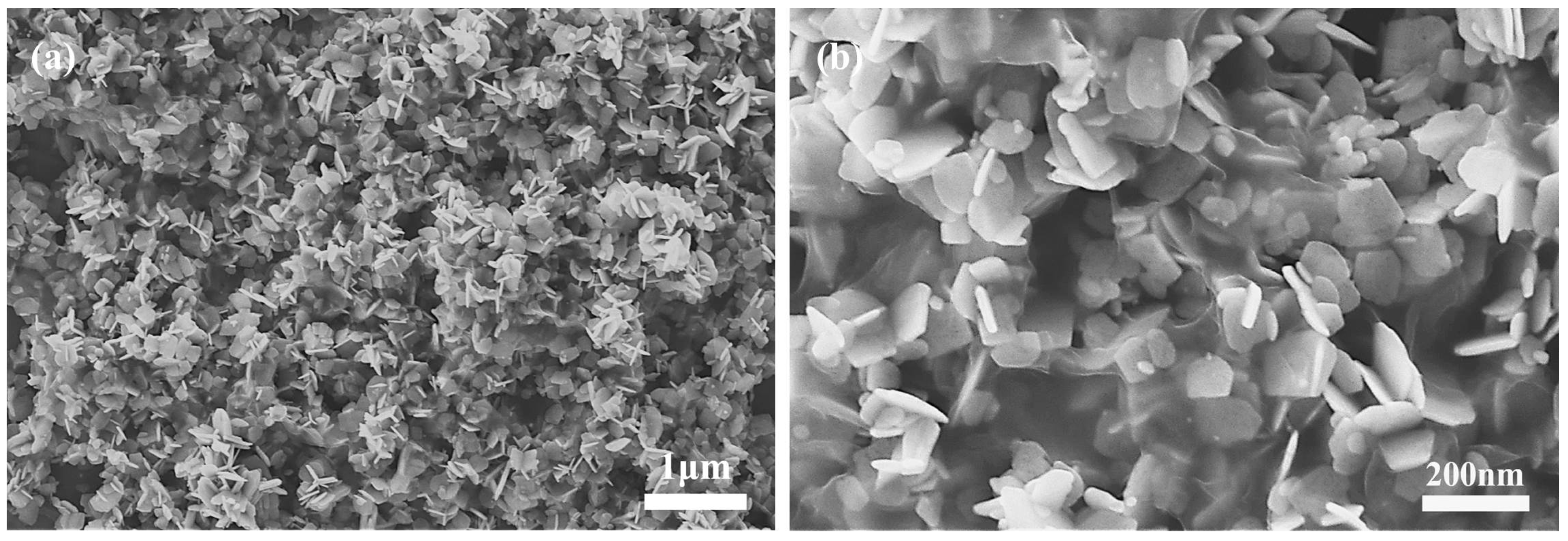 Proceedings 01 00411 g001 550