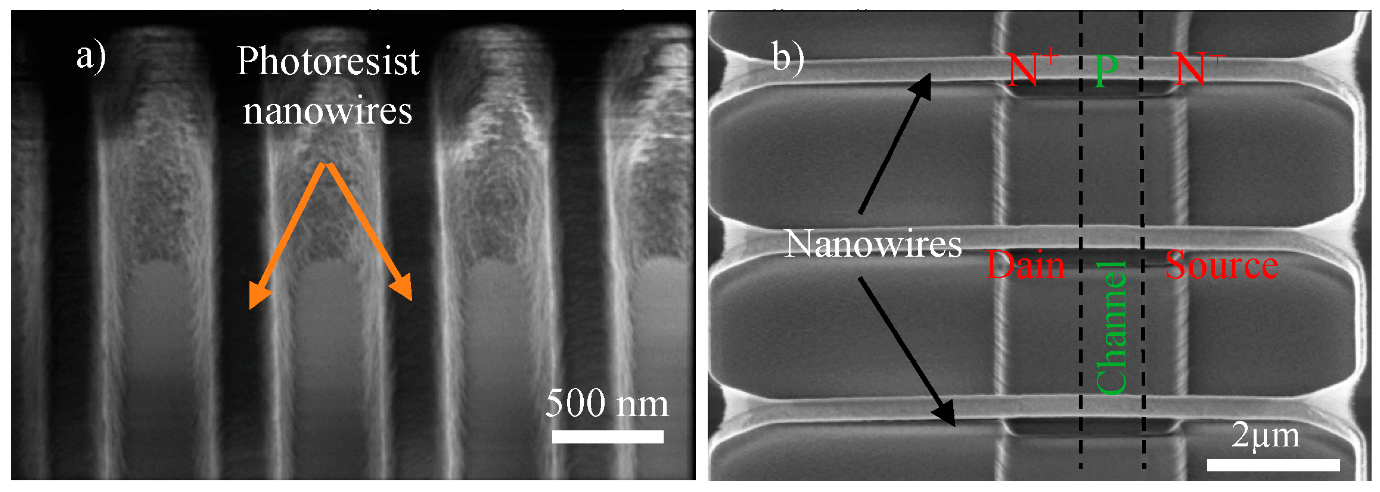 Proceedings 01 00419 g001 Proceedings 01 00419 g001