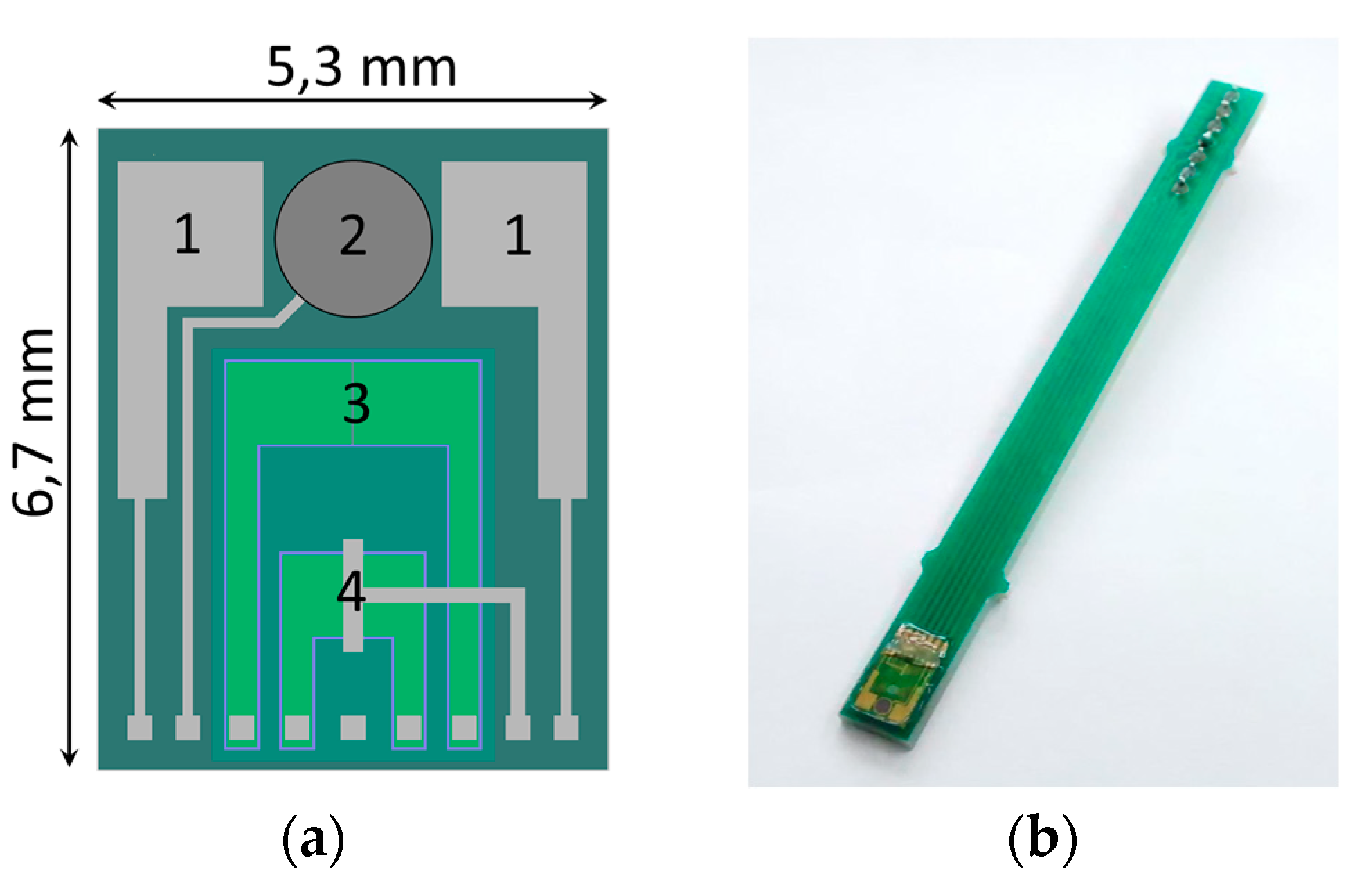 Proceedings 01 00420 g001 550