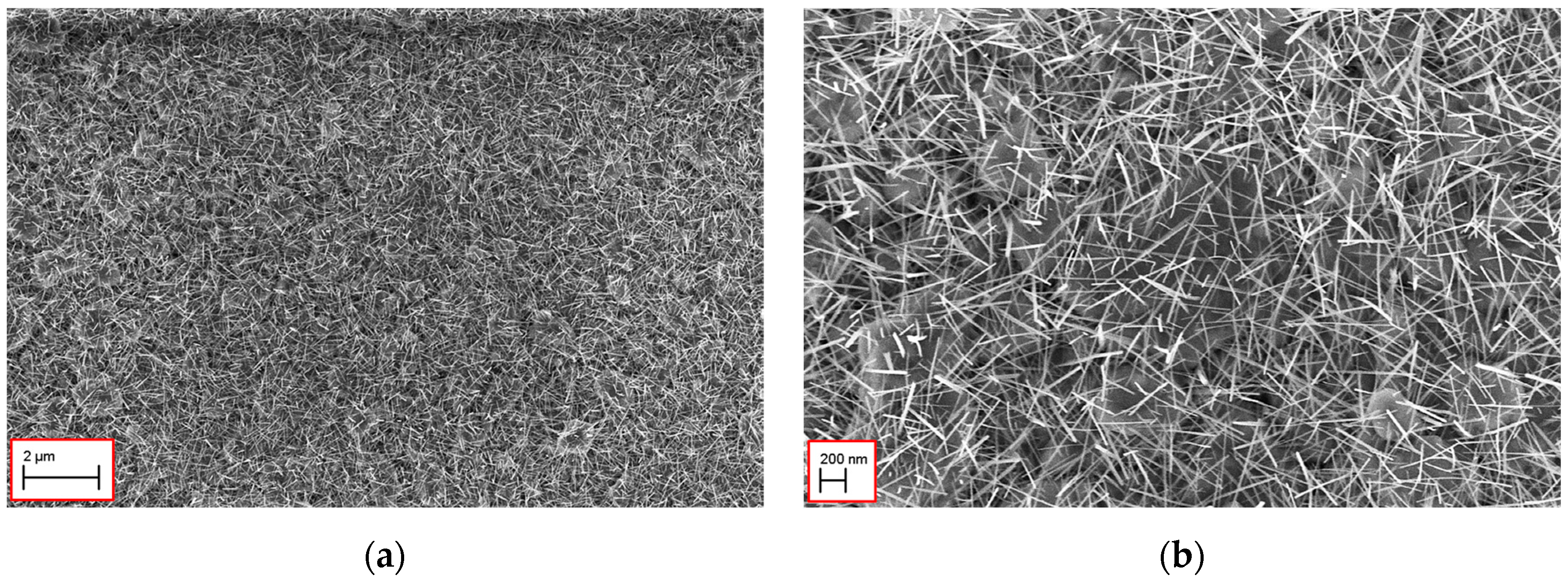 Proceedings 01 00434 g001 550