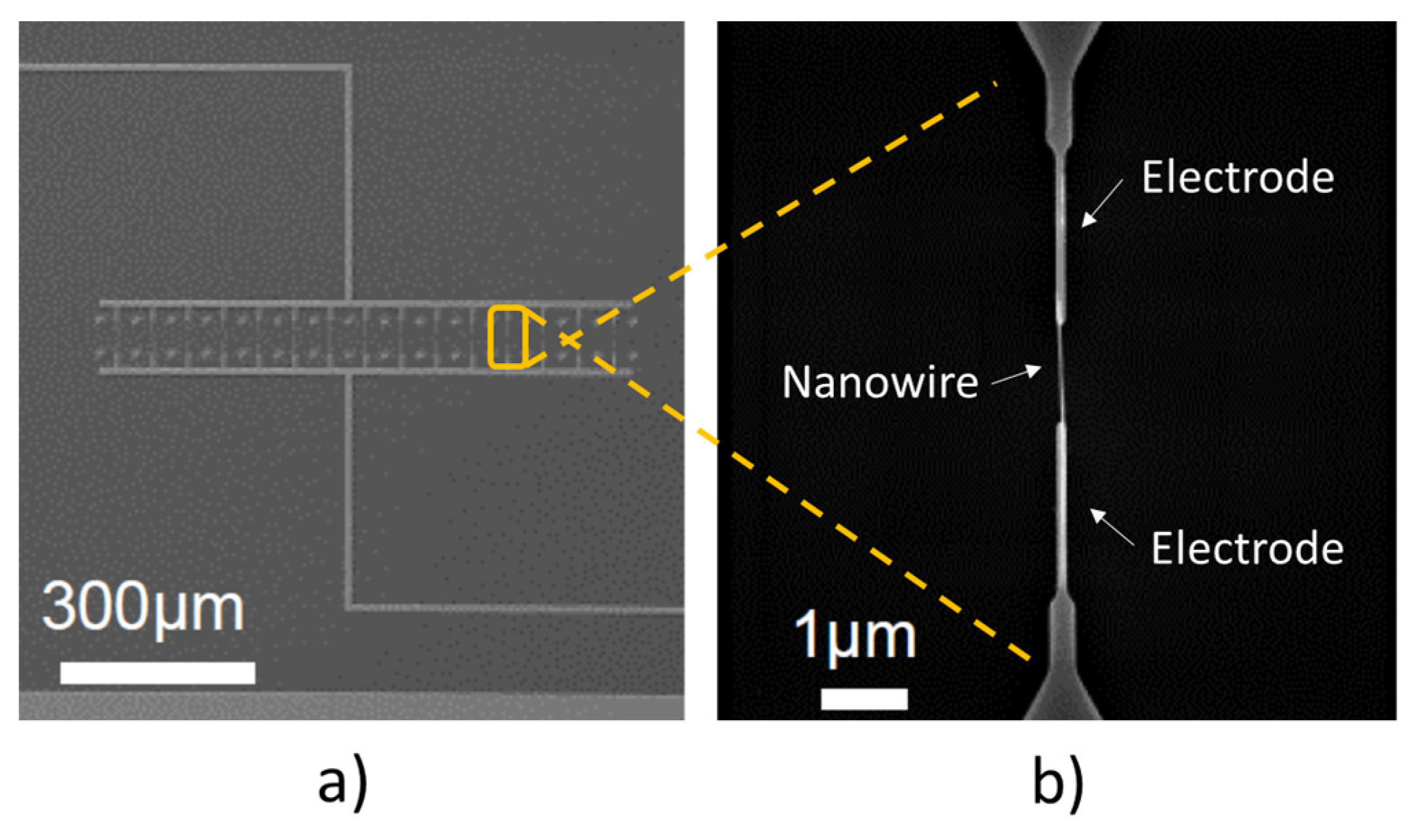 Proceedings 01 00458 g001