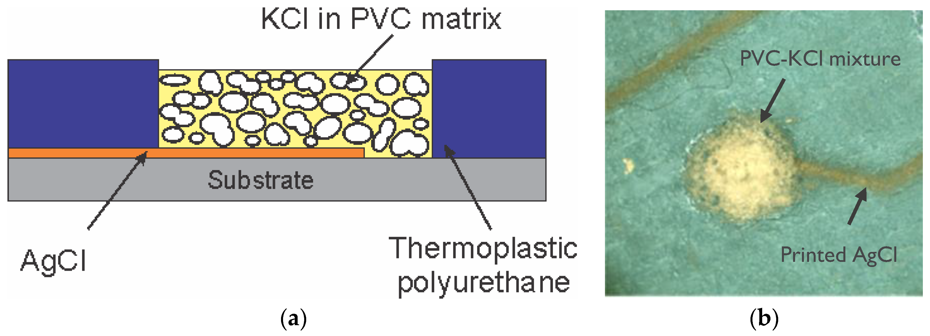 Proceedings 01 00464 g001 550