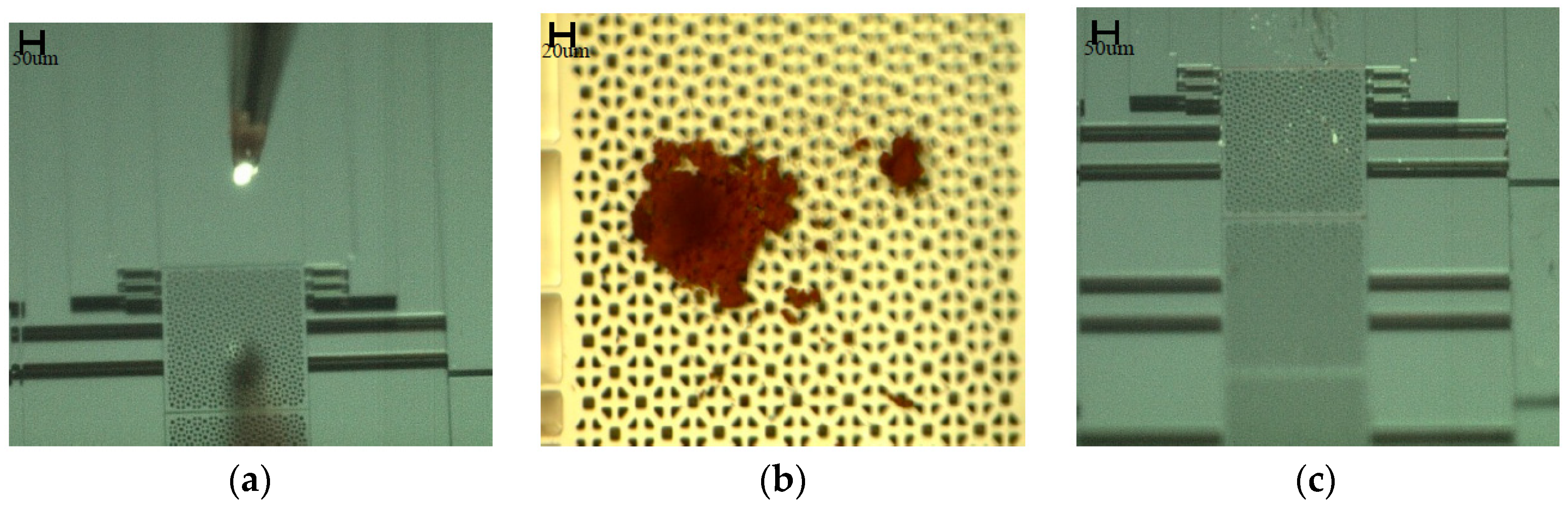 Proceedings 01 00493 g003