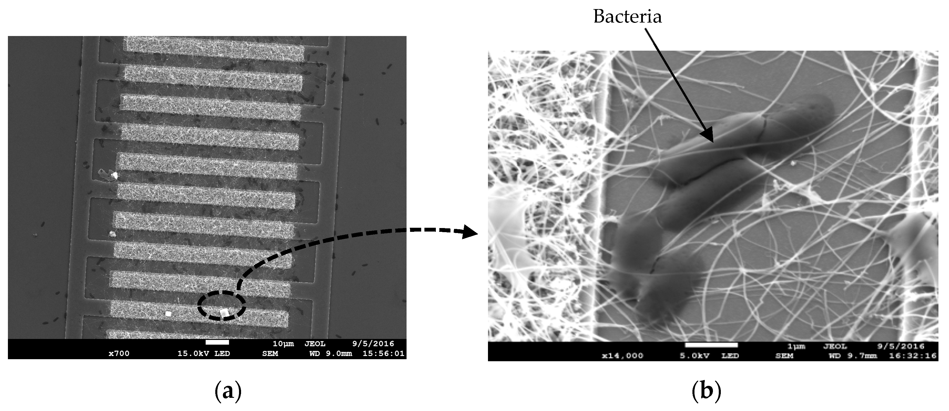 Proceedings 01 00496 g003 550