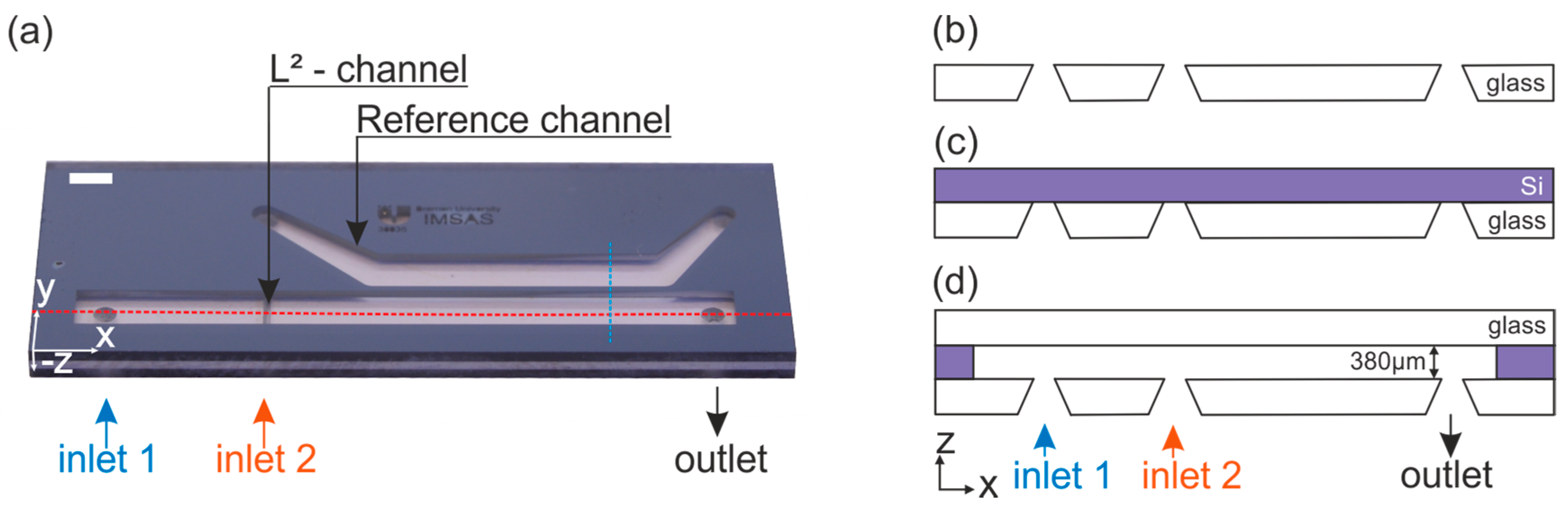 Proceedings 01 00498 g001