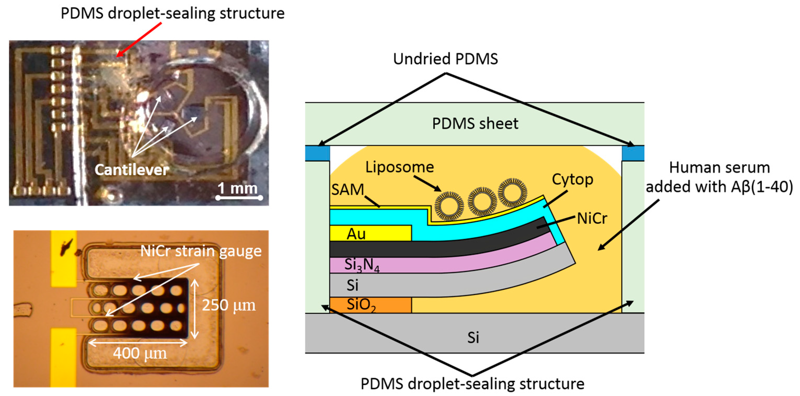 Proceedings 01 00503 g001