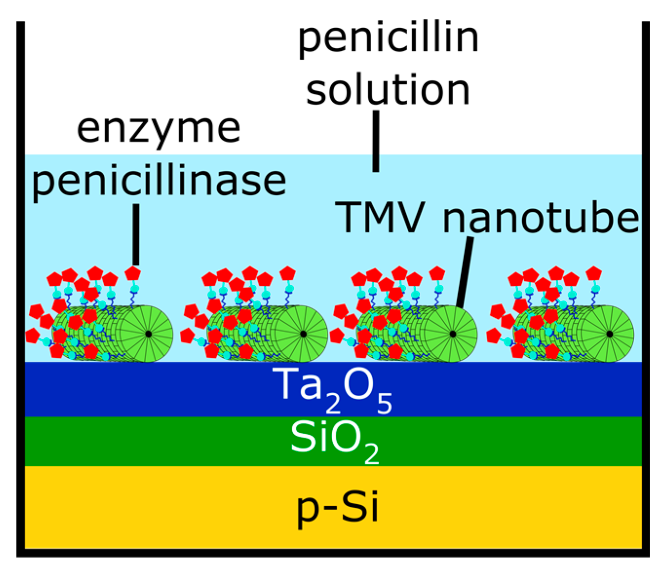 Proceedings 01 00505 g001