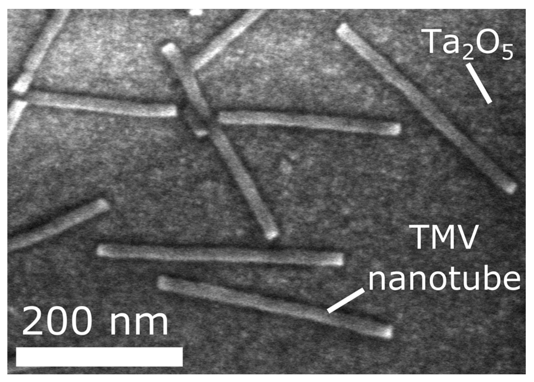 Proceedings 01 00505 g002
