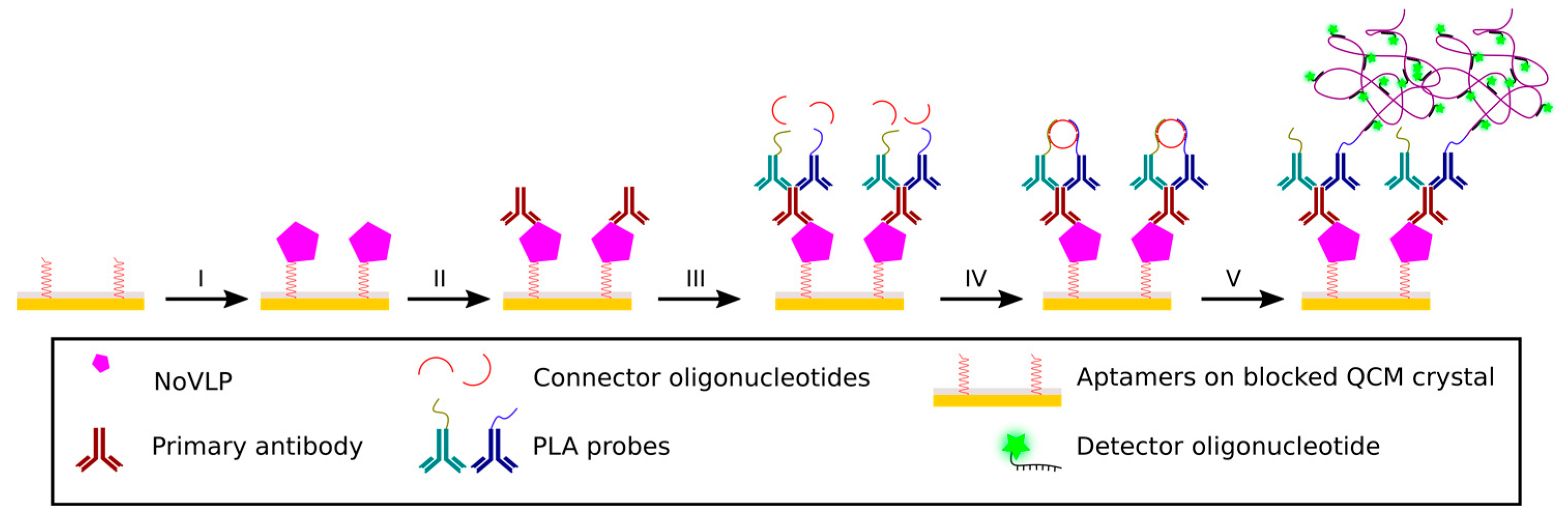 Proceedings 01 00509 g002 550