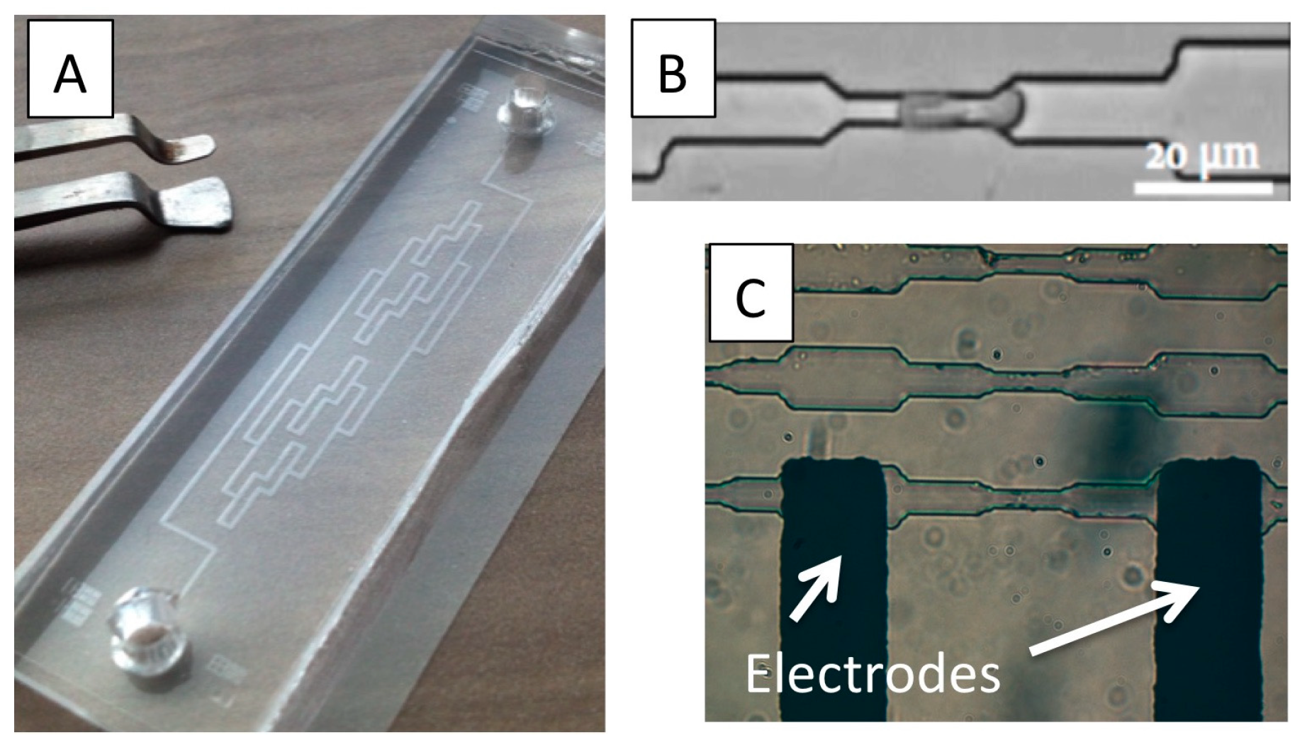 Proceedings 01 00517 g001 550
