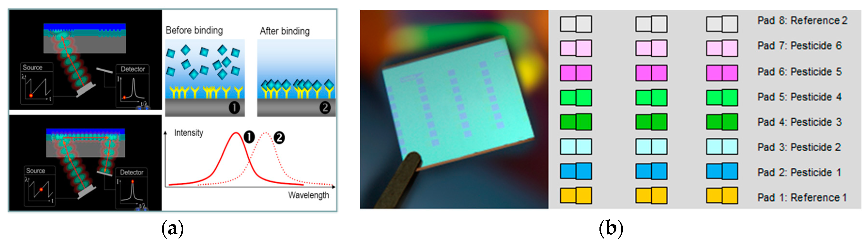 Proceedings 01 00522 g001 550