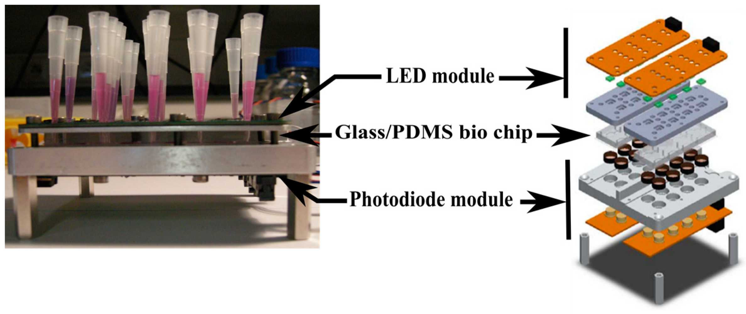 Proceedings 01 00533 g003 550